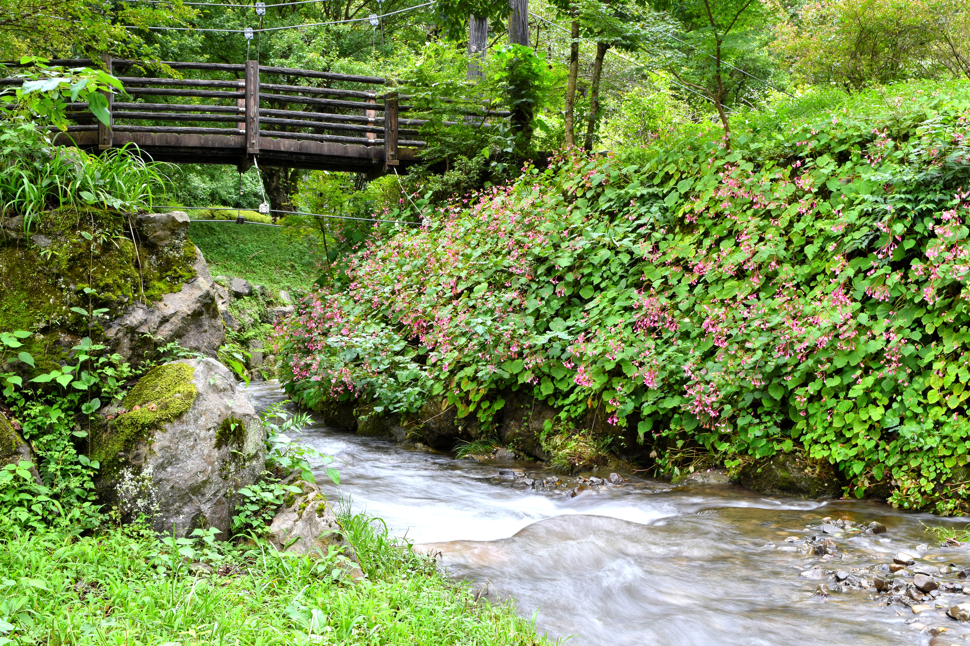 出流川(利根川水系)ライブカメラ一覧