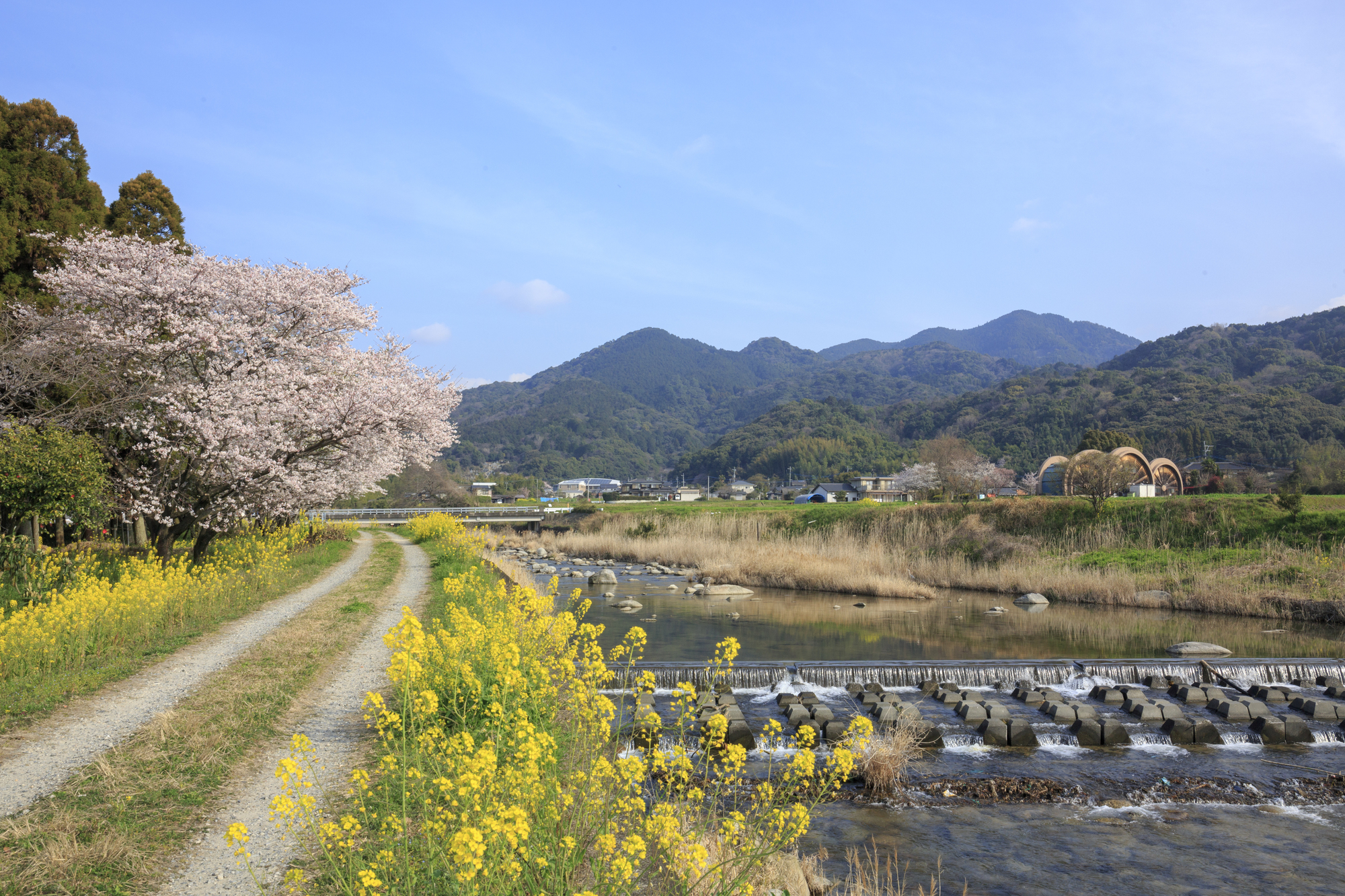 城原川(筑後川水系)ライブカメラ一覧