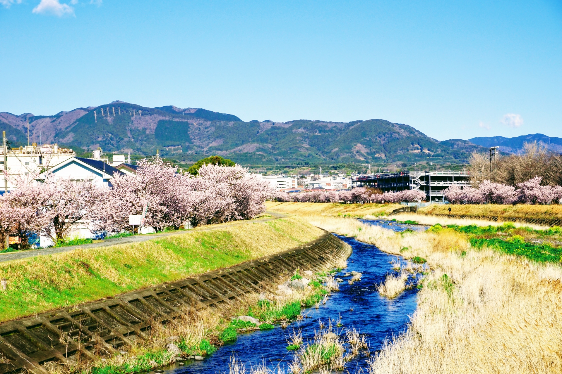 狩川(酒匂川水系)ライブカメラ一覧
