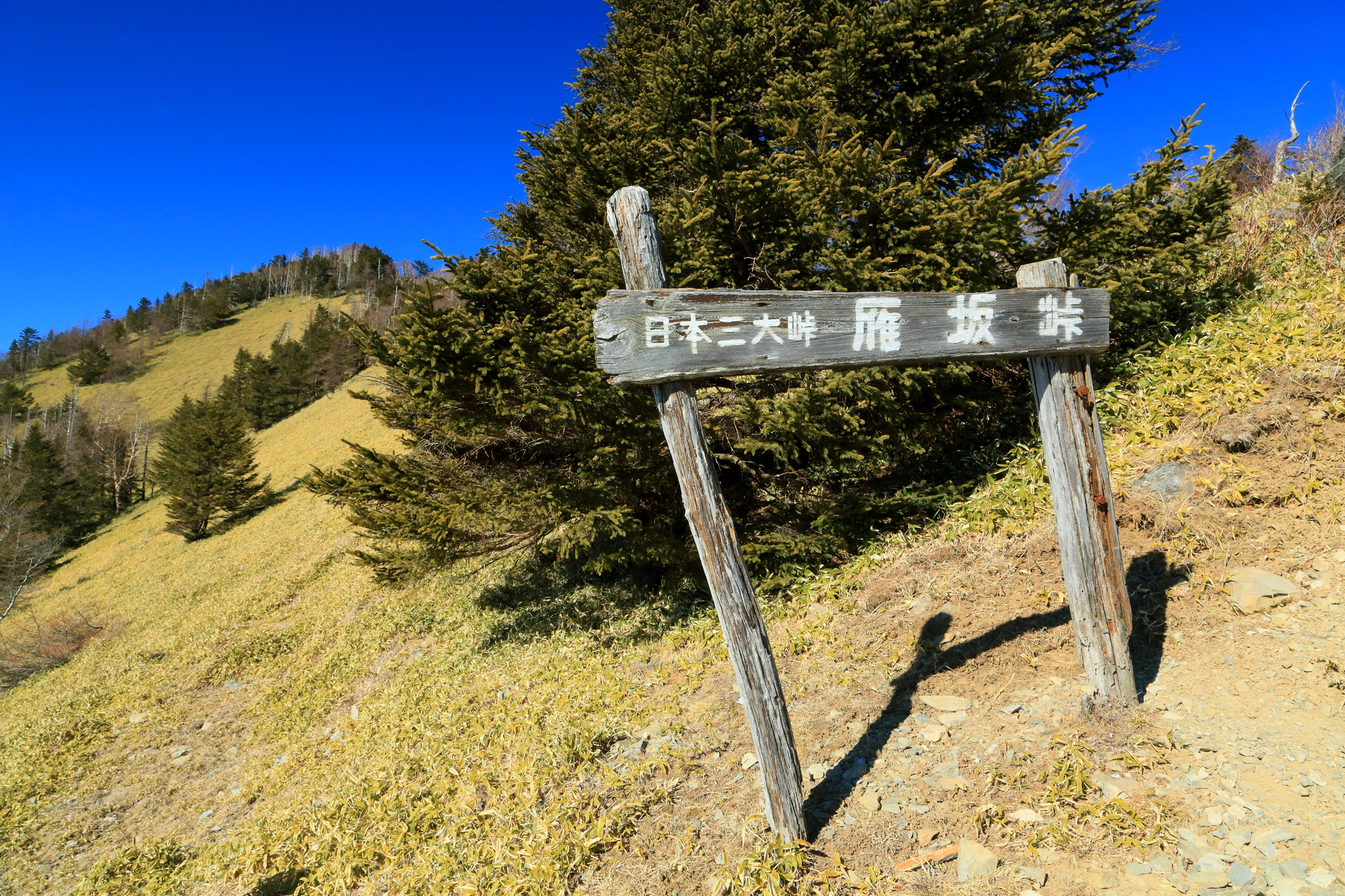雁坂峠(埼玉県秩父市～山梨県山梨市)ライブカメラ一覧