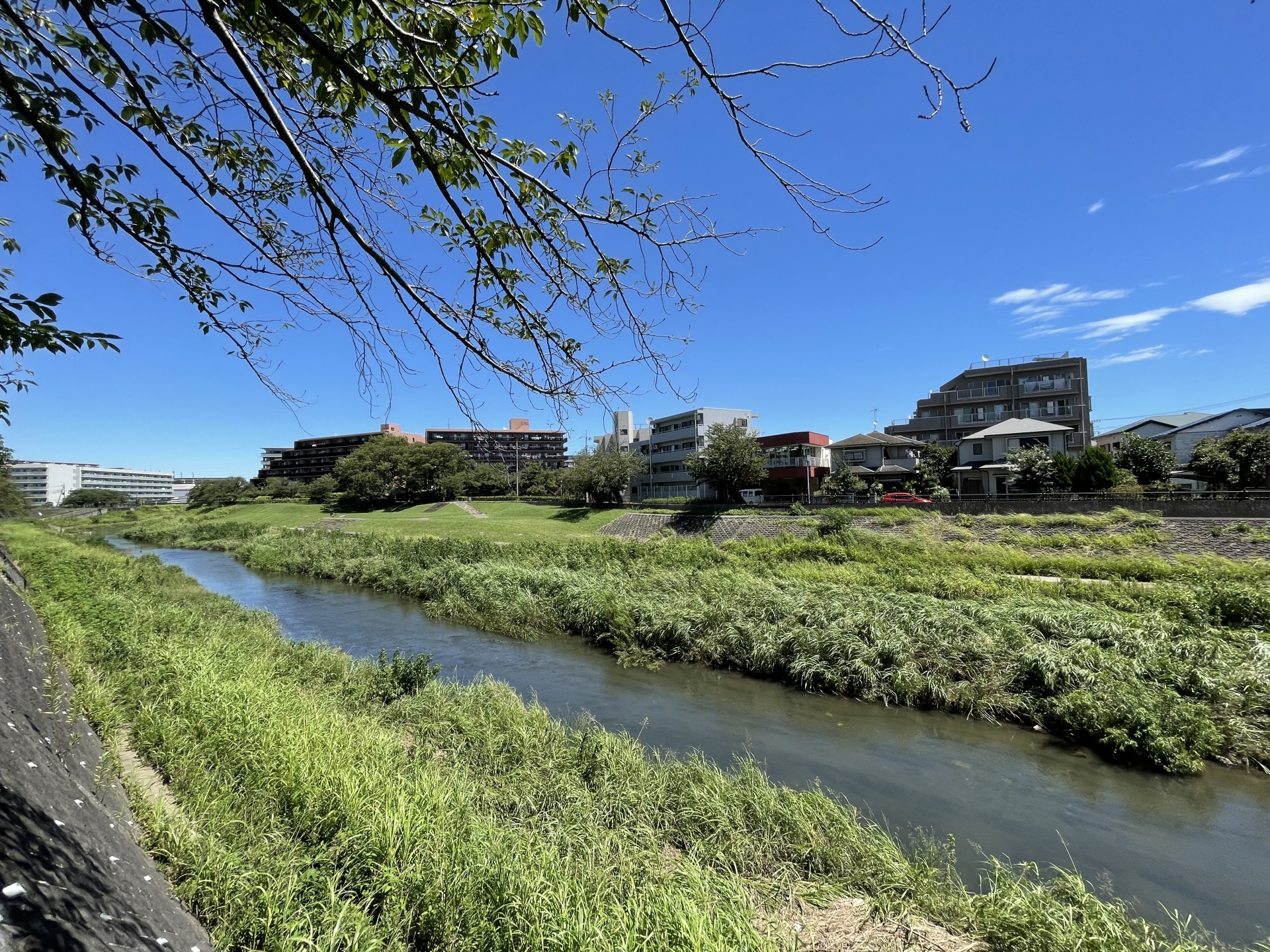 柏尾川(境川水系)ライブカメラ一覧