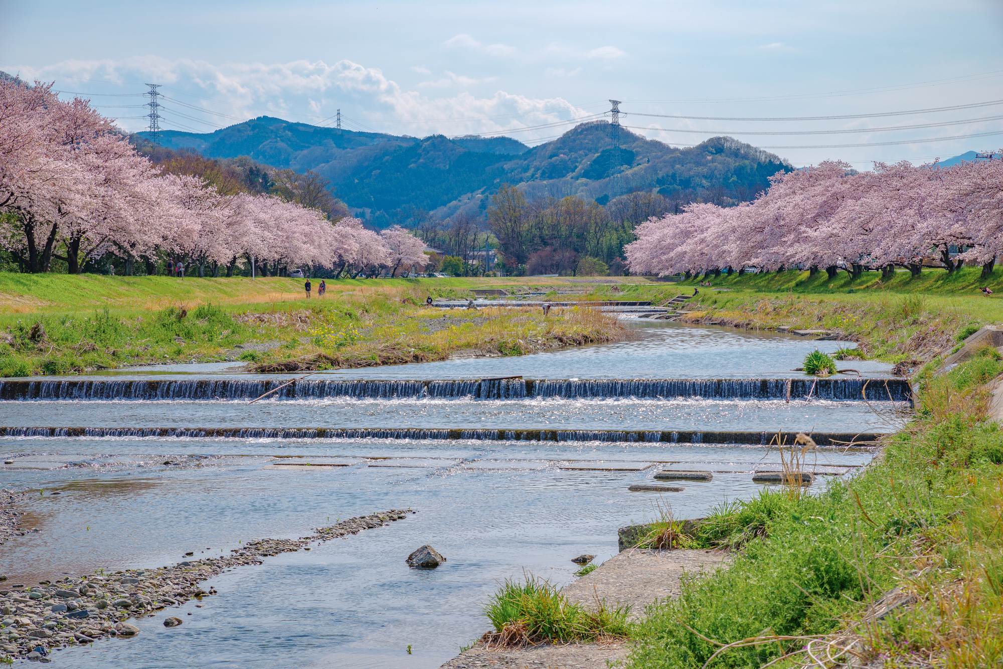 小山川(利根川水系)ライブカメラ一覧