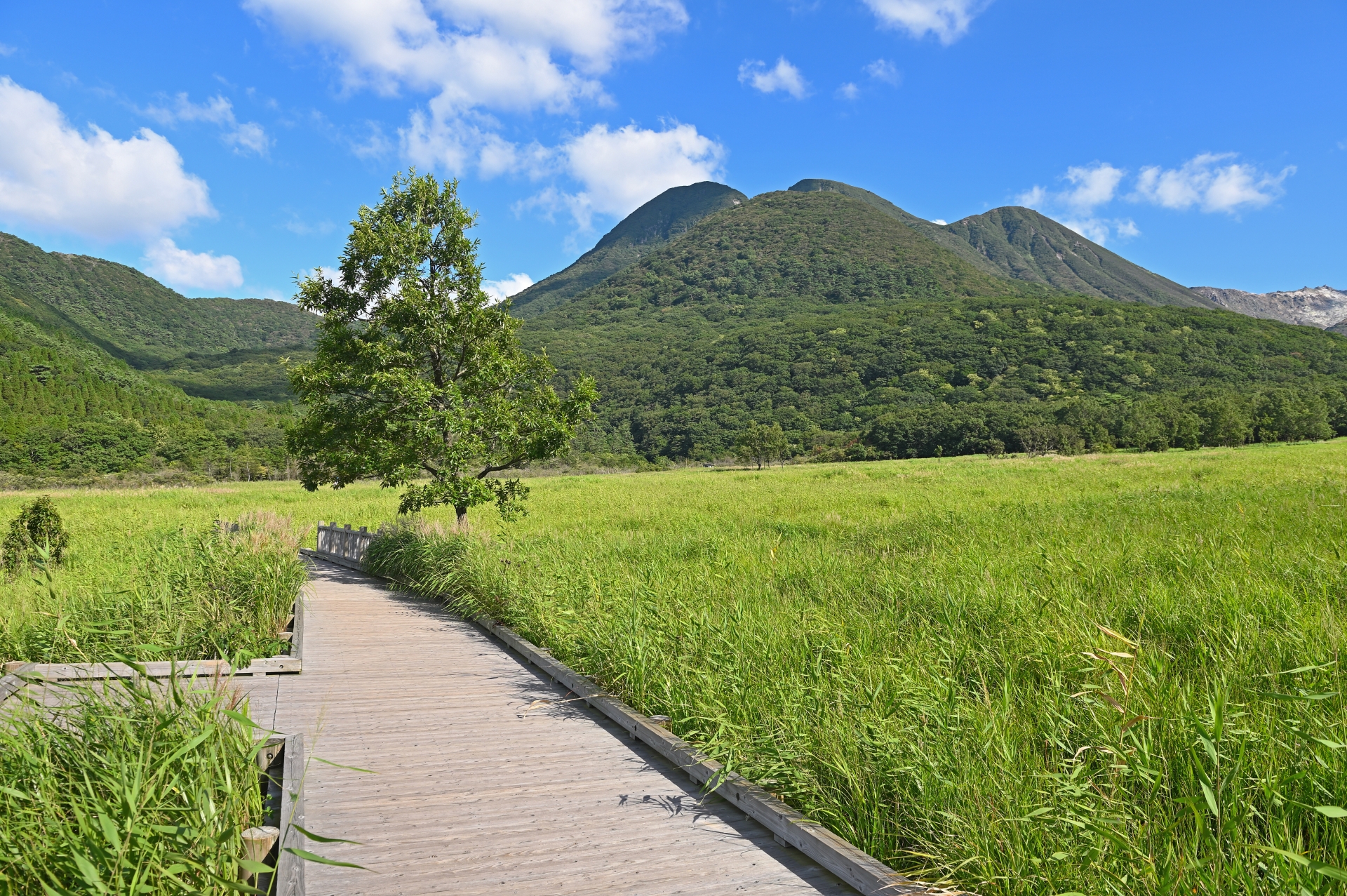 九重山のライブカメラ一覧