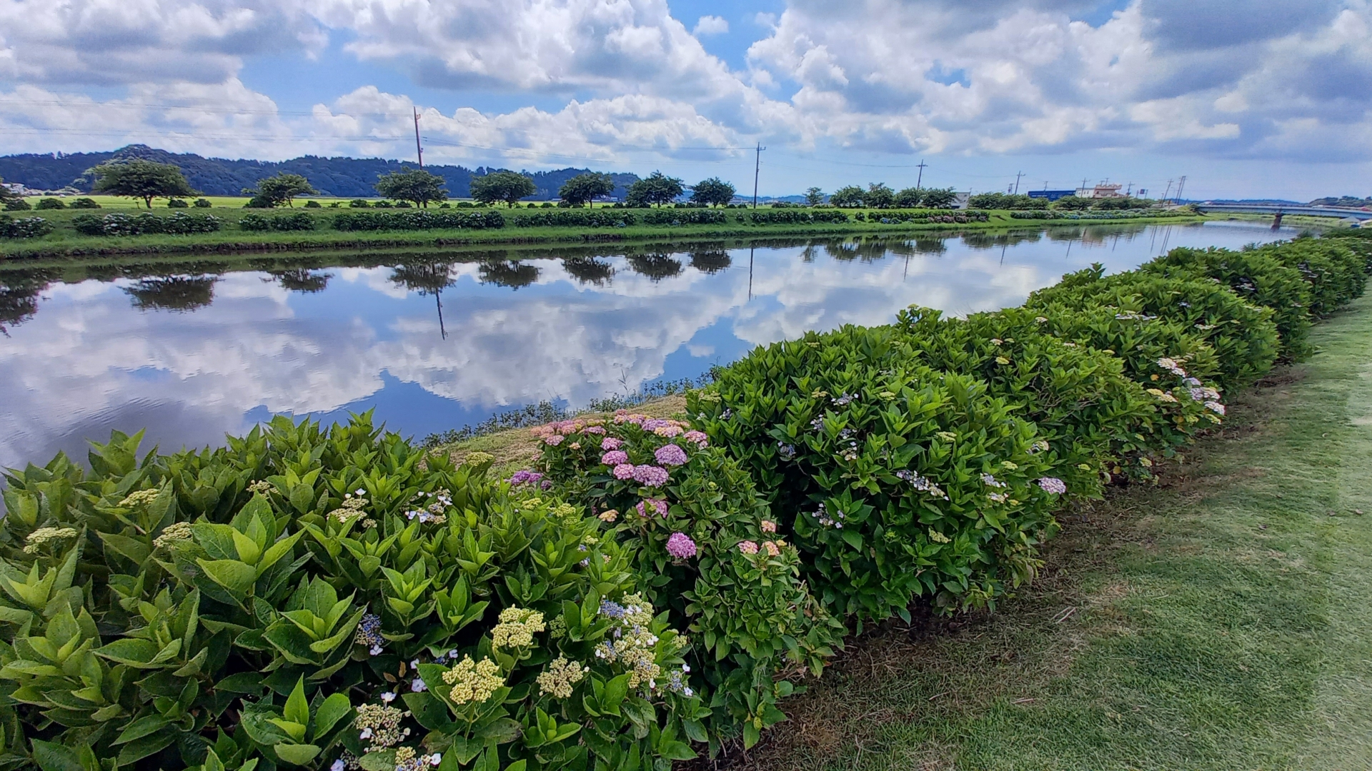 栗山川(栗山川水系)ライブカメラ一覧