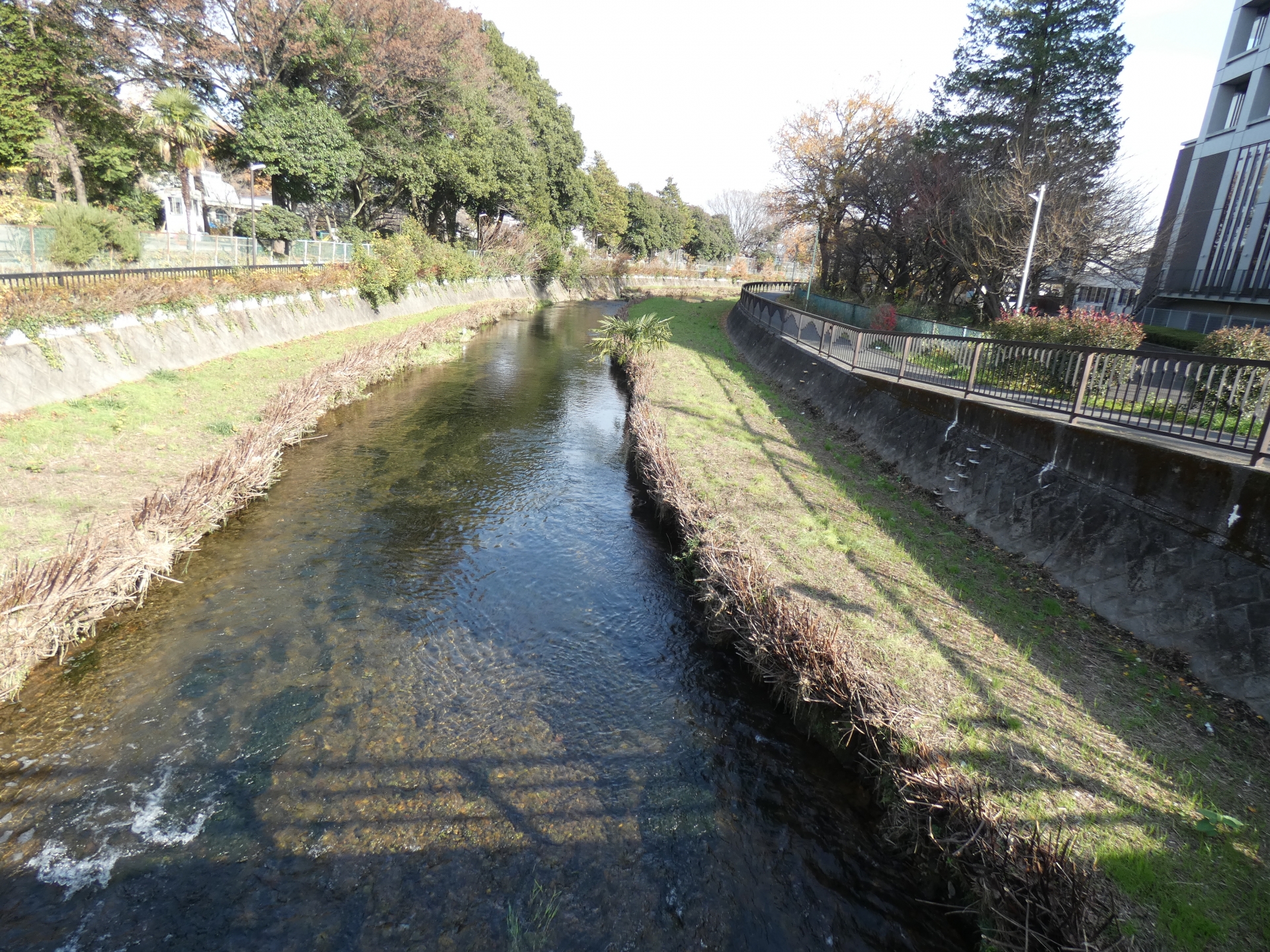黒目川(荒川水系)ライブカメラ一覧
