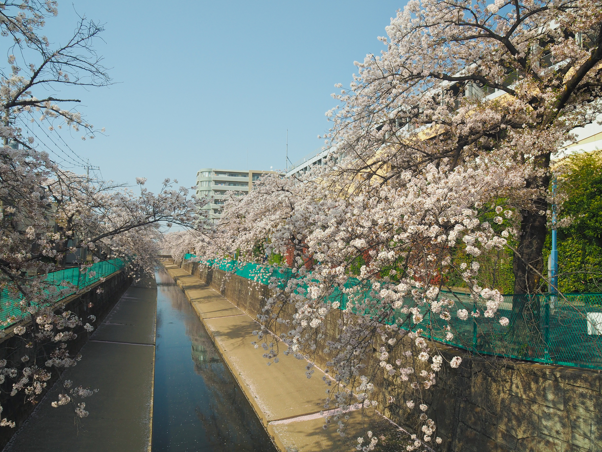 緑川(荒川水系)ライブカメラ一覧