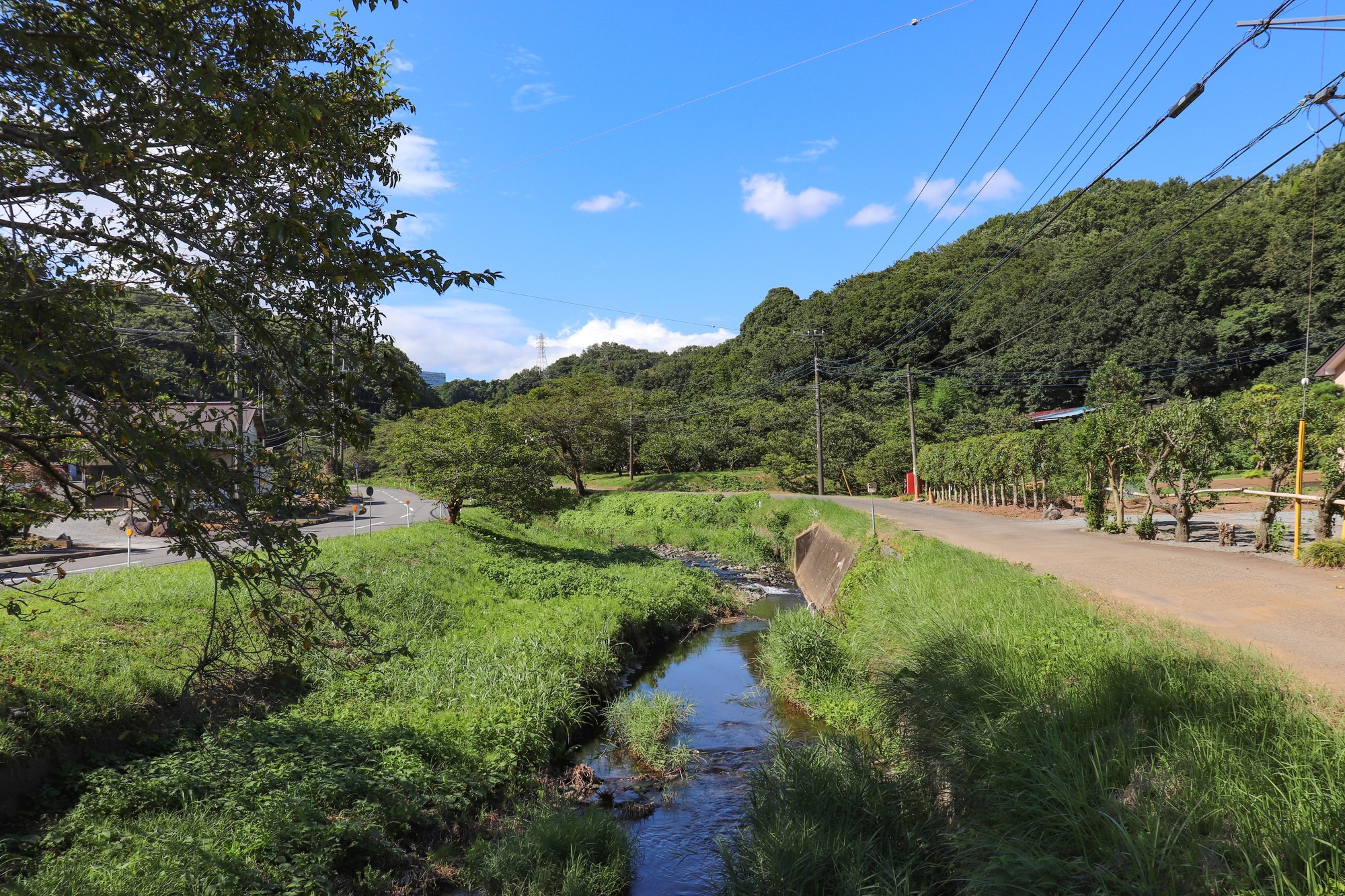 中村川(中村川水系)ライブカメラ一覧