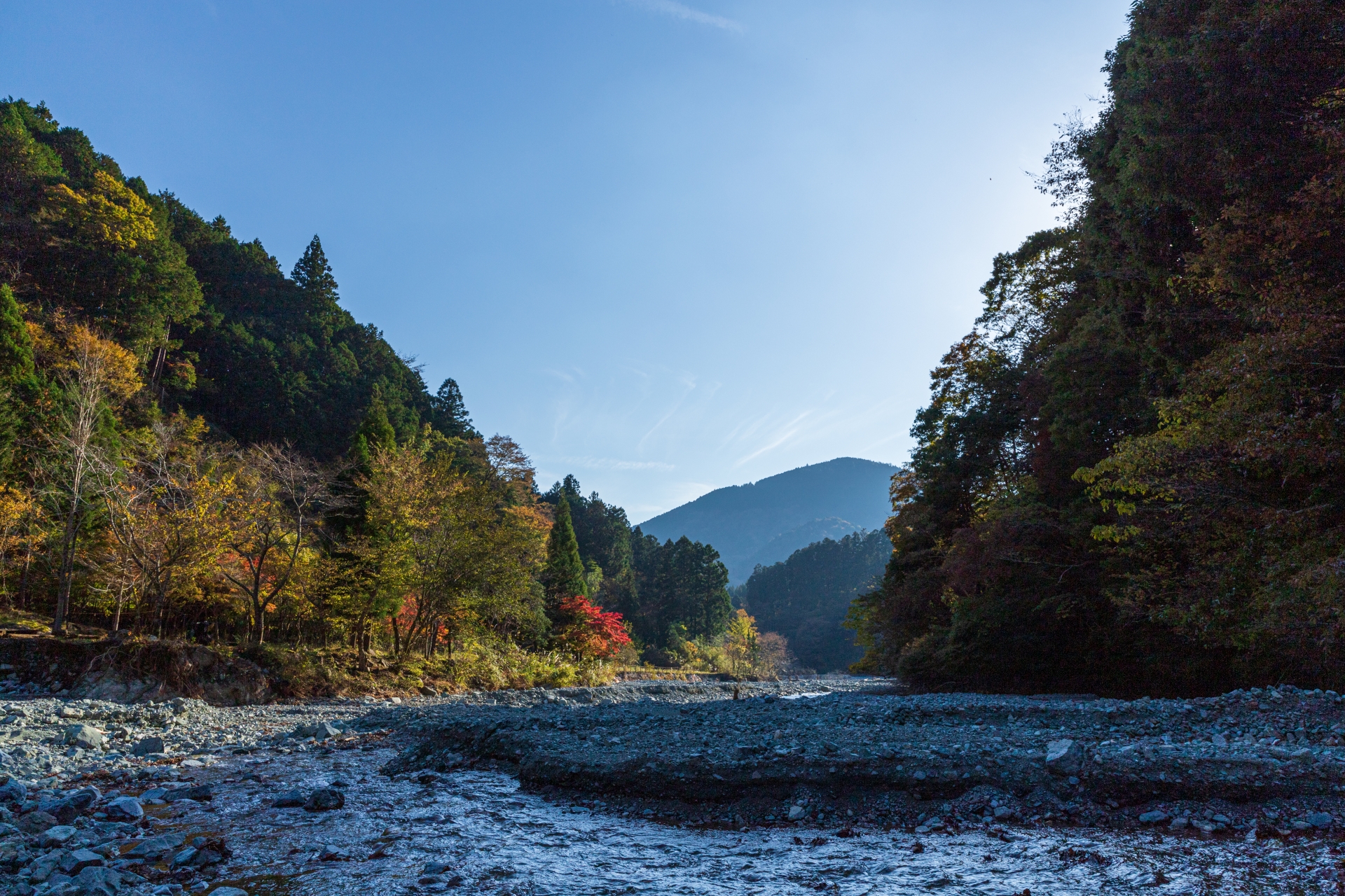 中津川(相模川水系)ライブカメラ一覧