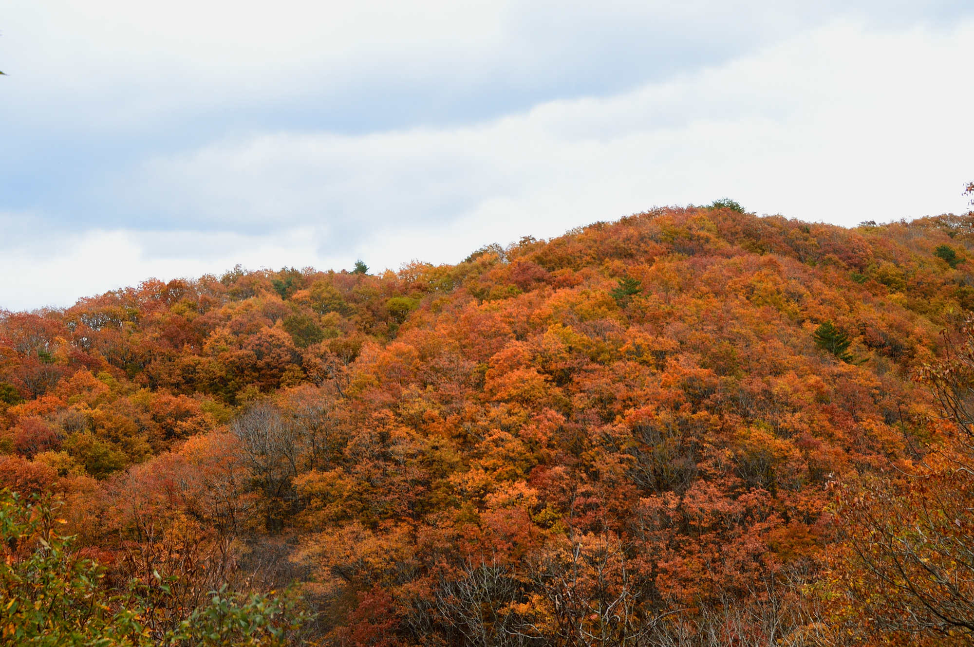 人形峠(鳥取県三朝町～岡山県鏡野町)ライブカメラ一覧