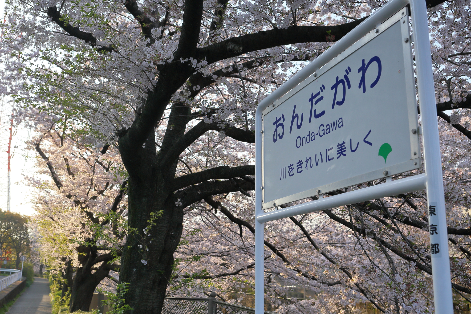 恩田川(鶴見川水系)ライブカメラ一覧