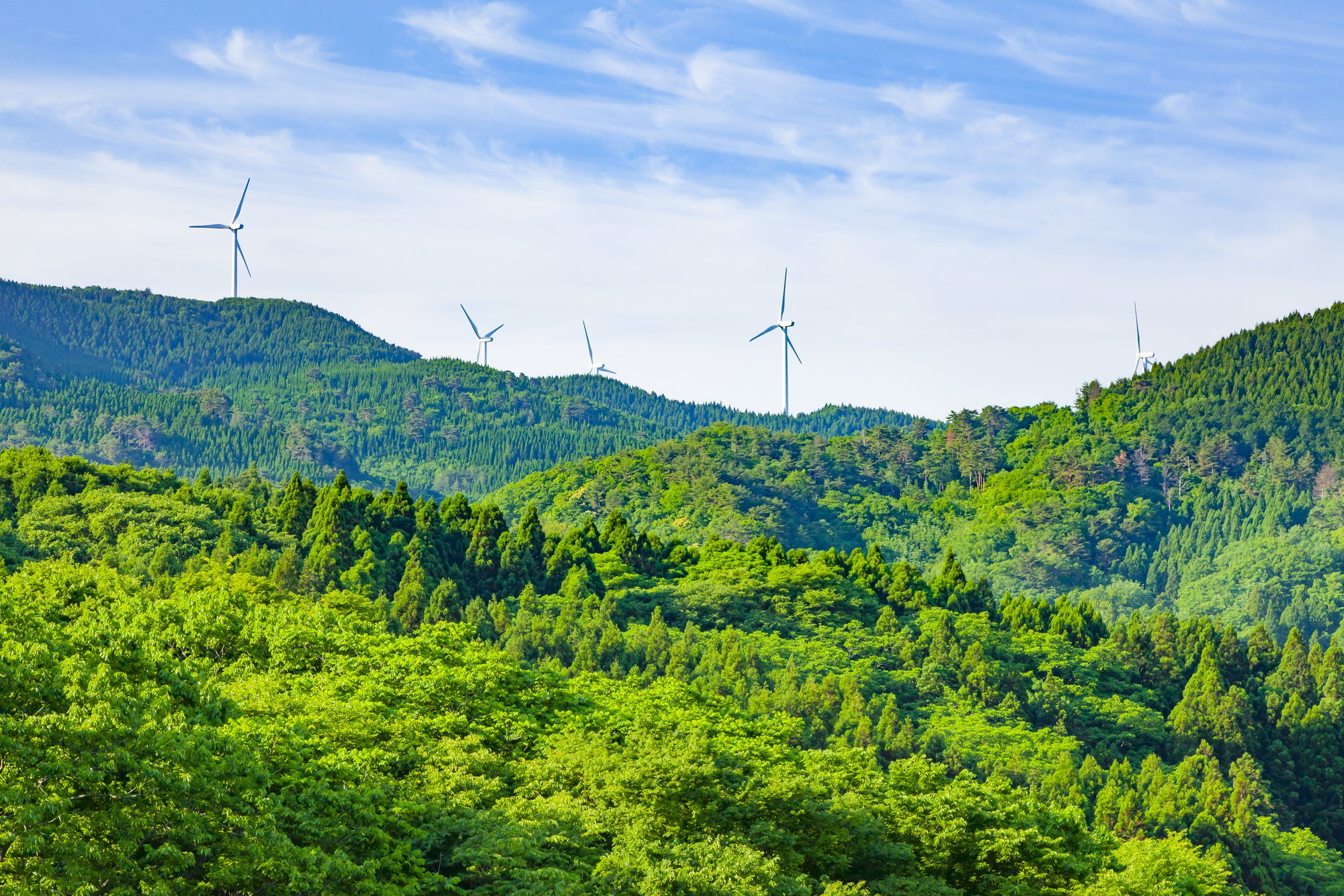 大谷峠(石川県)ライブカメラ一覧
