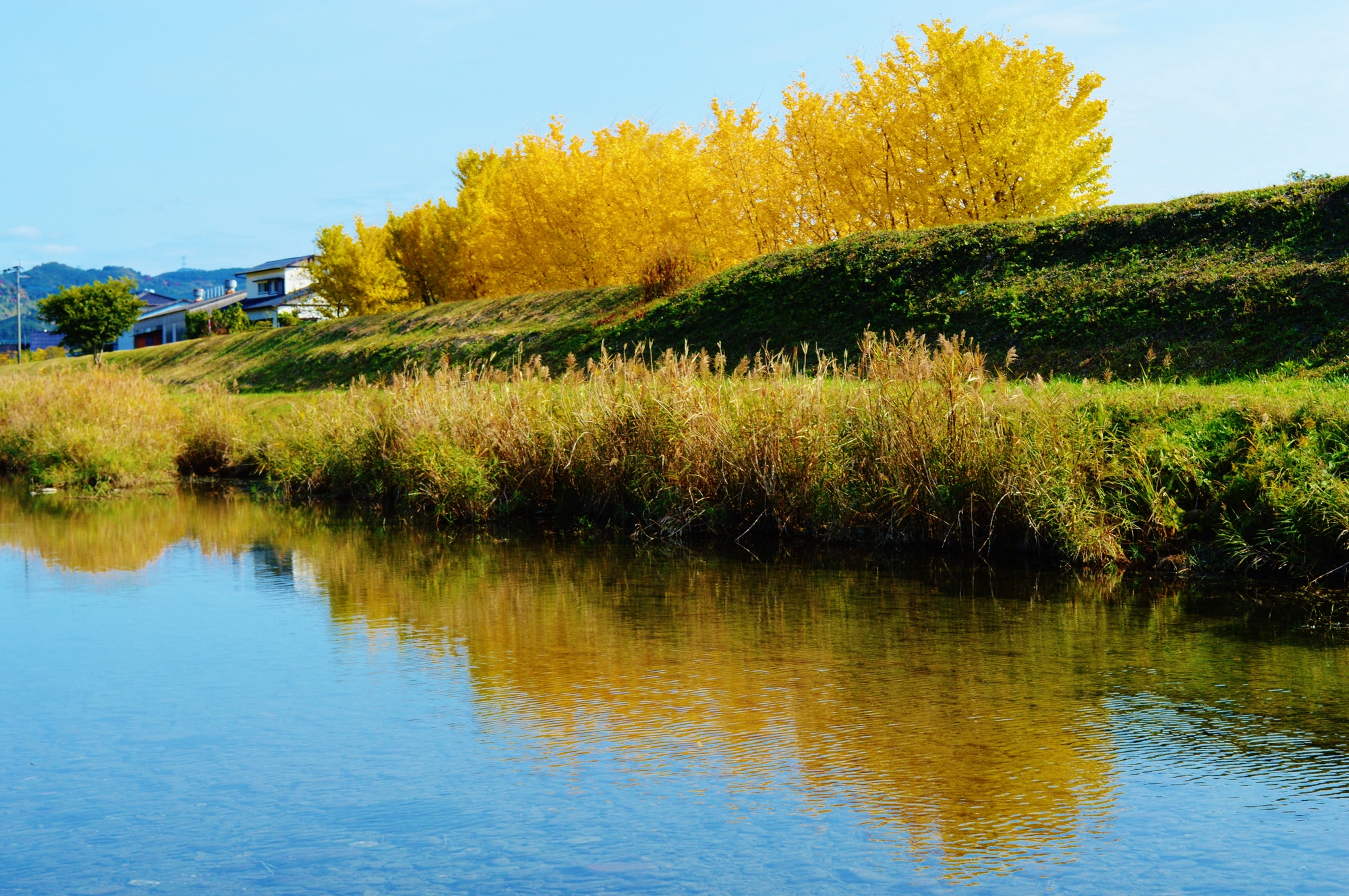 佐田川(筑後川水系)ライブカメラ一覧