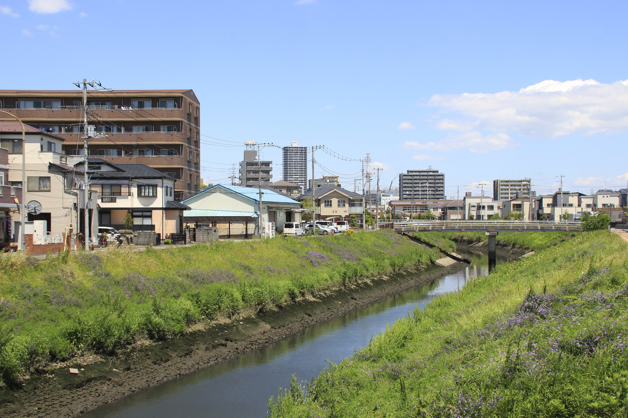 笹目川(荒川水系)ライブカメラ一覧