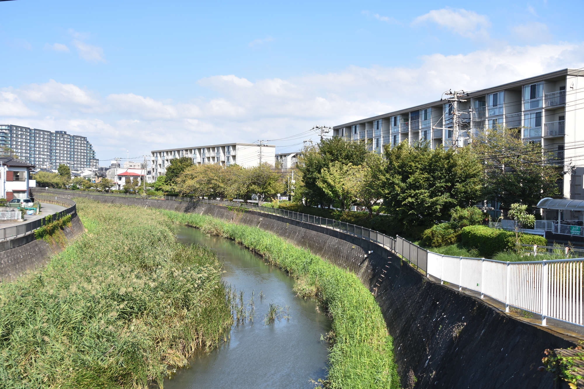 千ノ川(相模川水系)ライブカメラ一覧