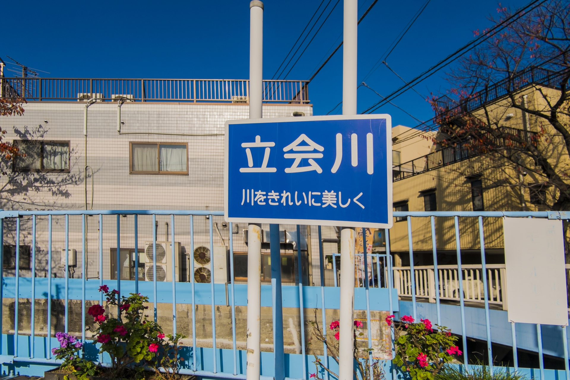 立会川(立会川水系)ライブカメラ一覧