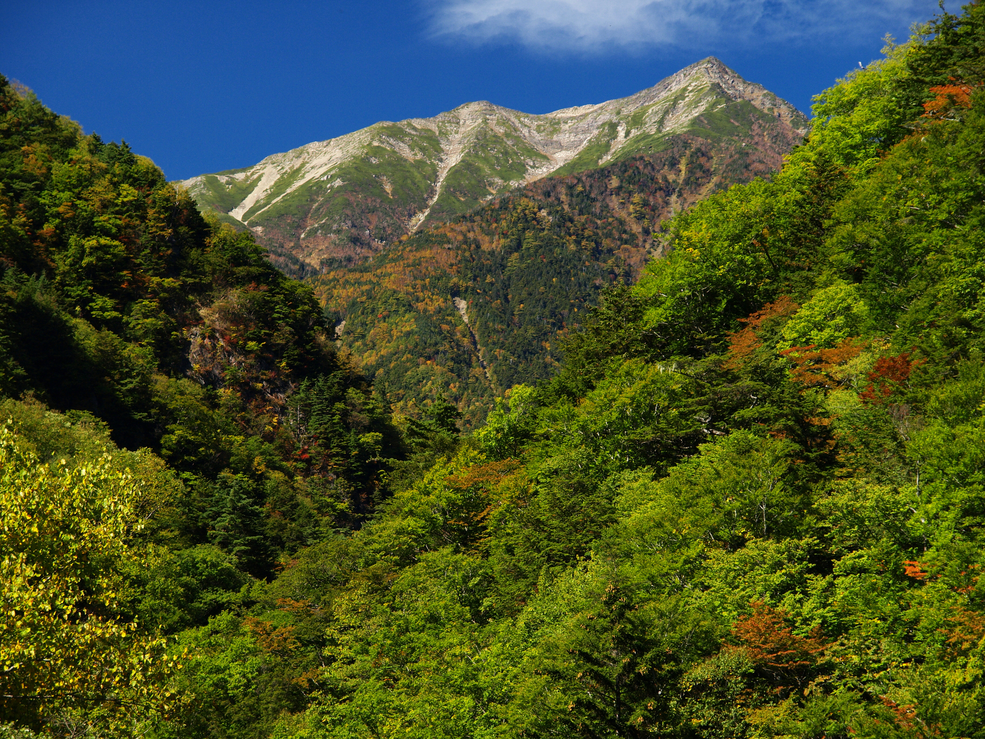 牛首峠(静岡県)ライブカメラ一覧