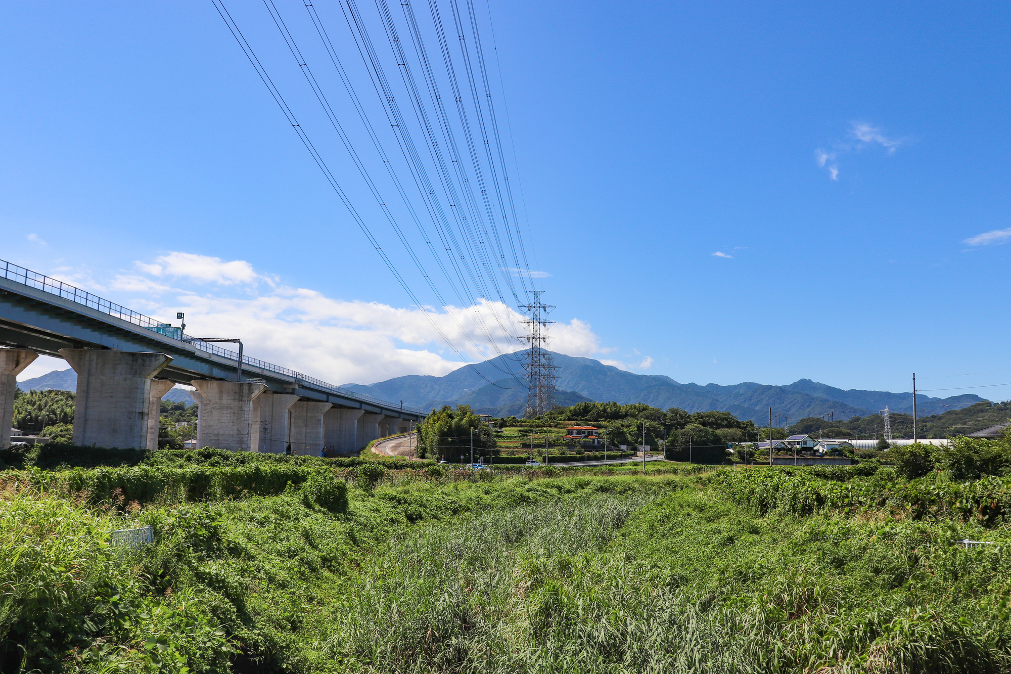 歌川(金目川水系)ライブカメラ一覧