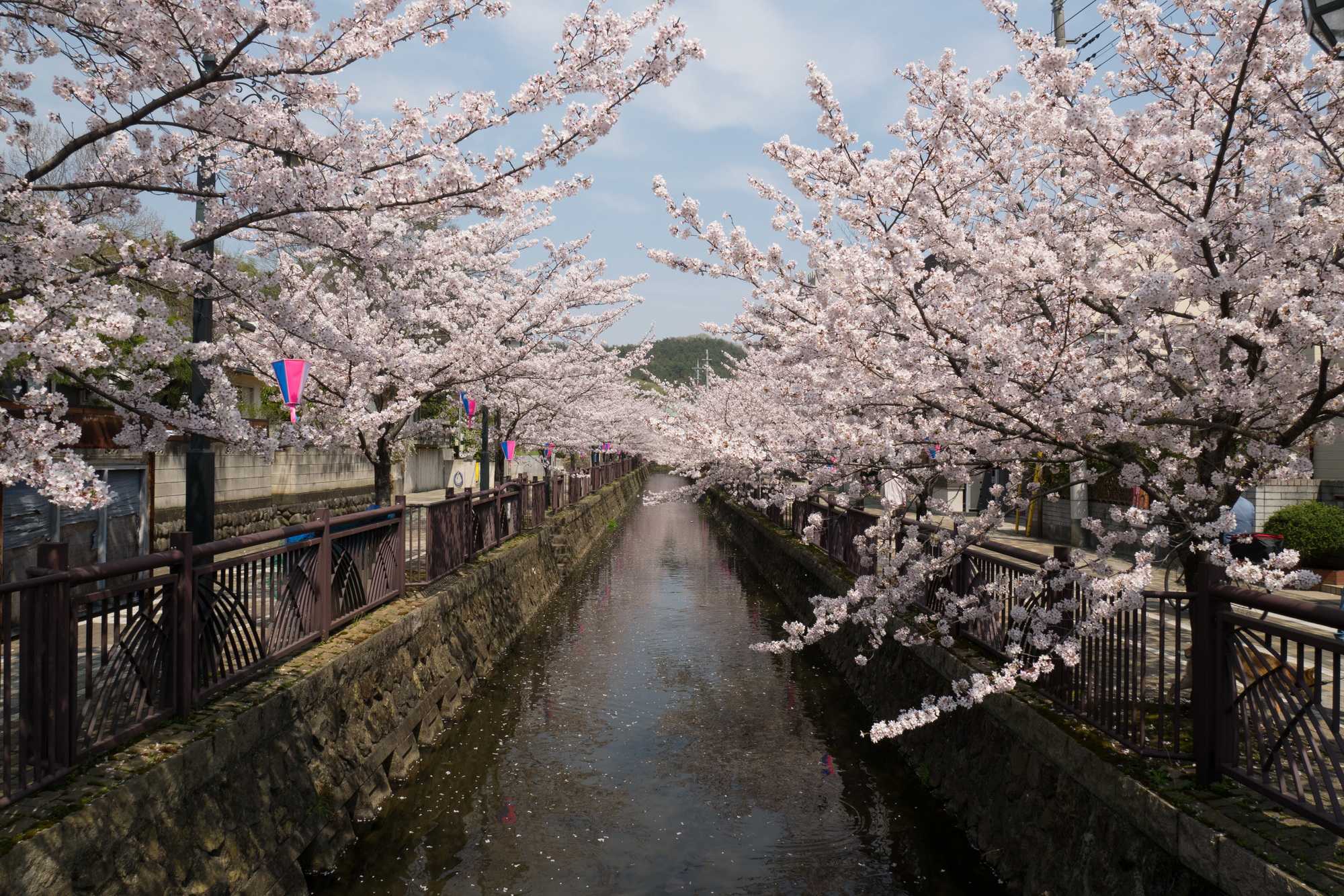 八瀬川(利根川水系)ライブカメラ一覧