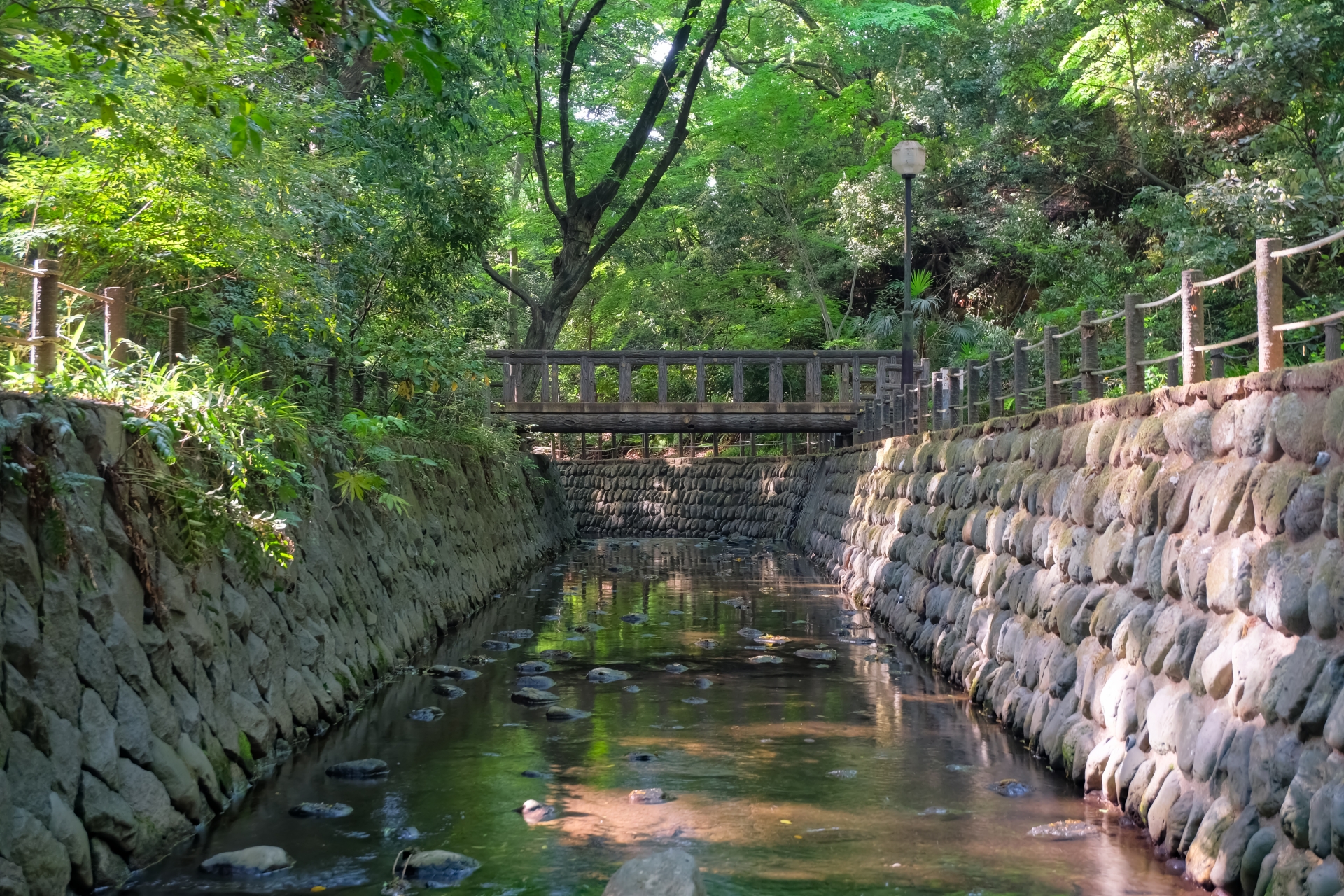 谷地川(多摩川水系)ライブカメラ一覧