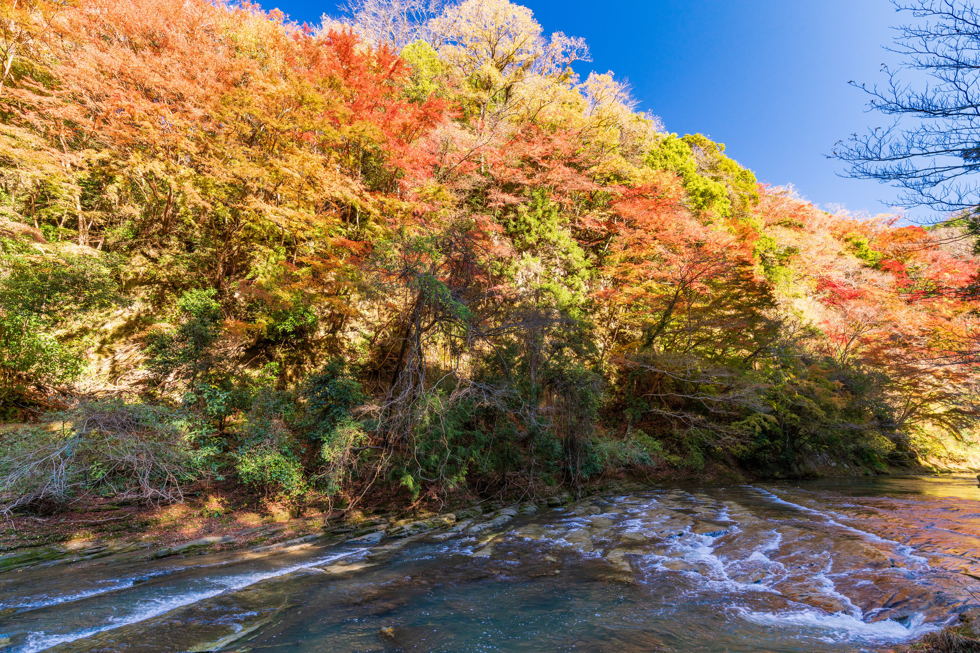 養老川(養老川水系)ライブカメラ一覧