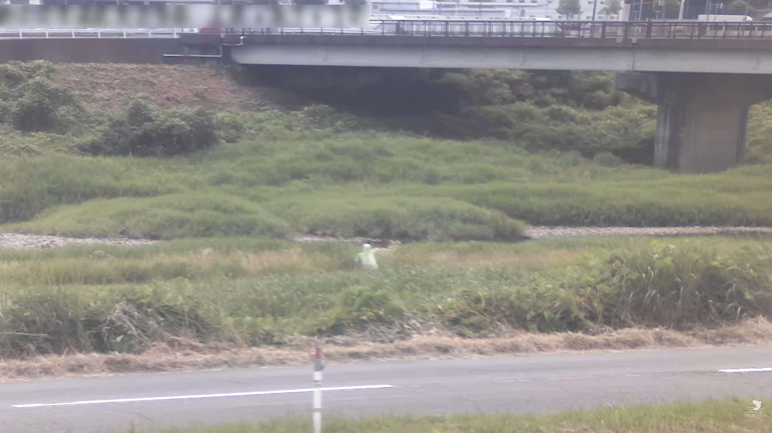 日野川漁業協同組合ライブカメラ(福井県越前市松森町)