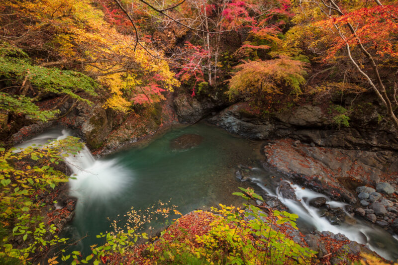 大柳川(富士川水系)ライブカメラ一覧