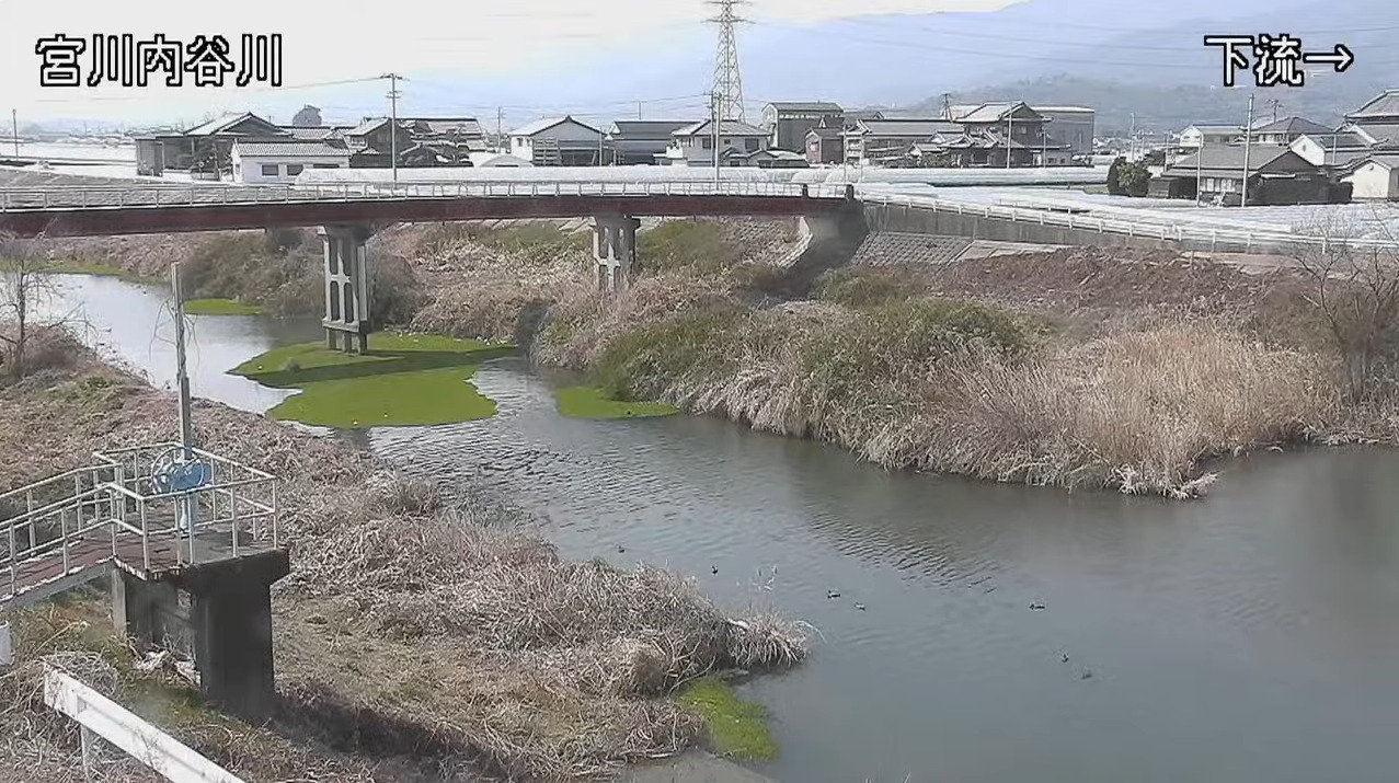宮川内谷川唐園橋ライブカメラ(徳島県板野町唐園)