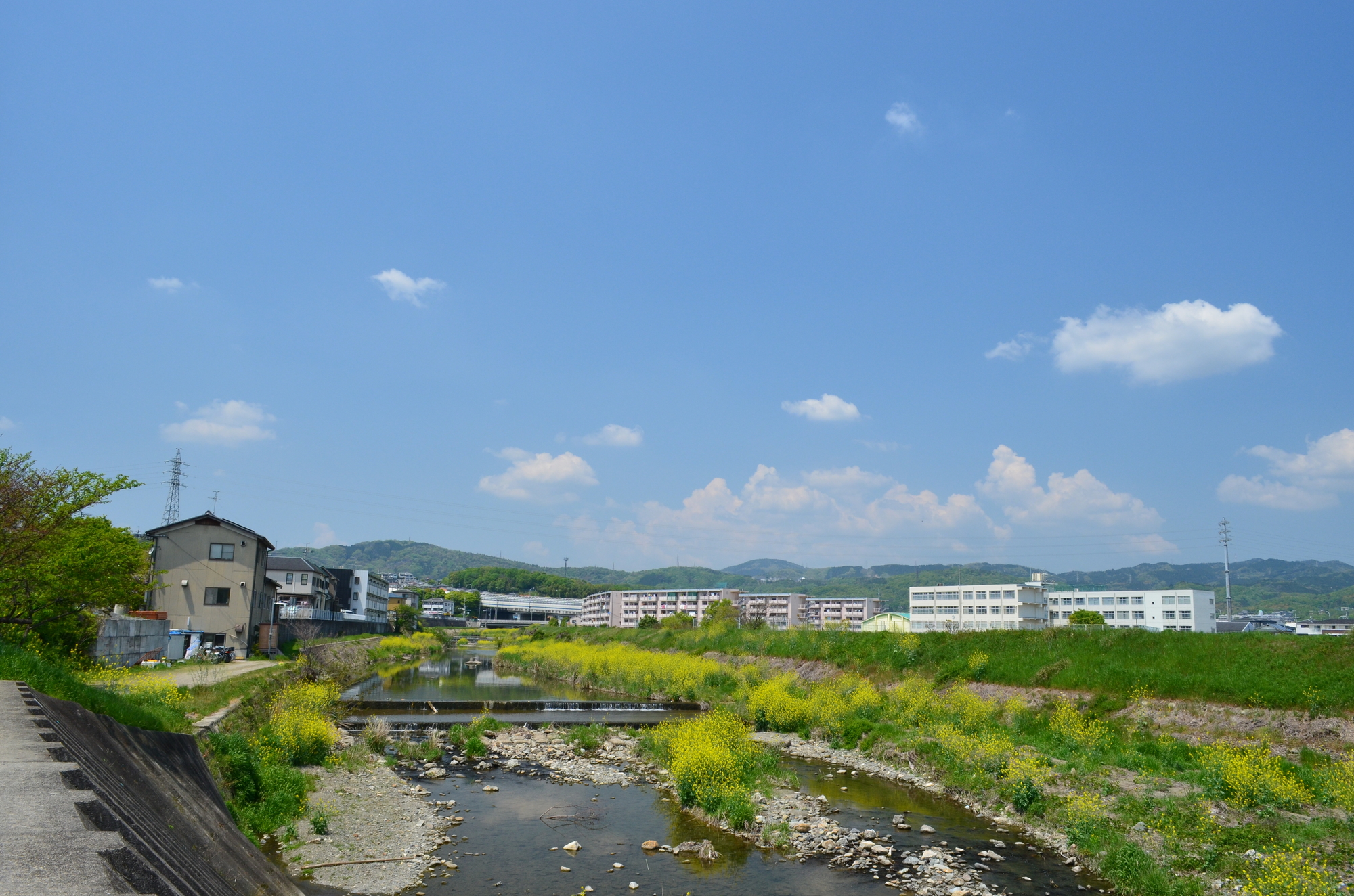 天野川(淀川水系)ライブカメラ一覧