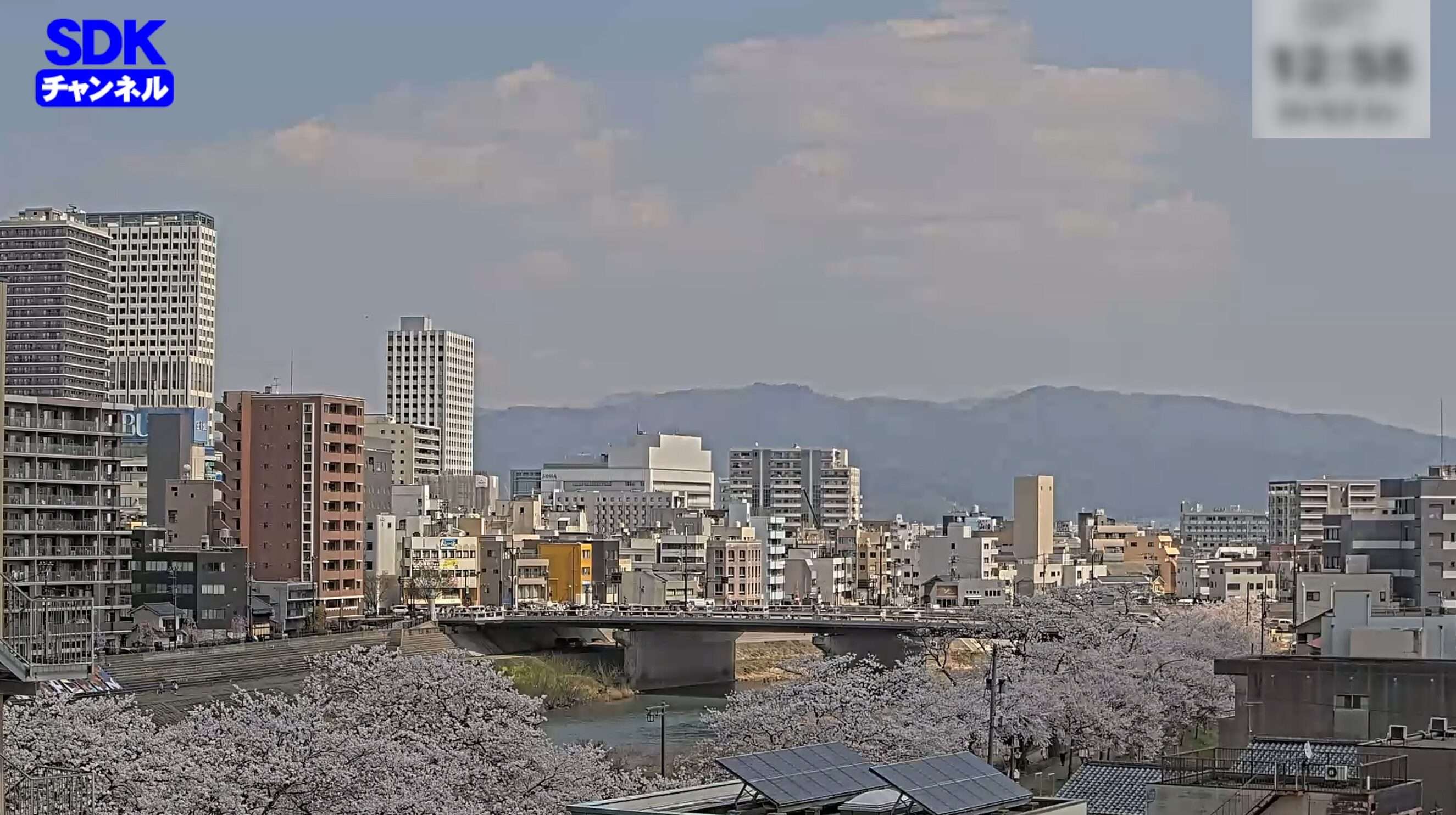 SDK足羽川桜並木ライブカメラ(福井県福井市順化)