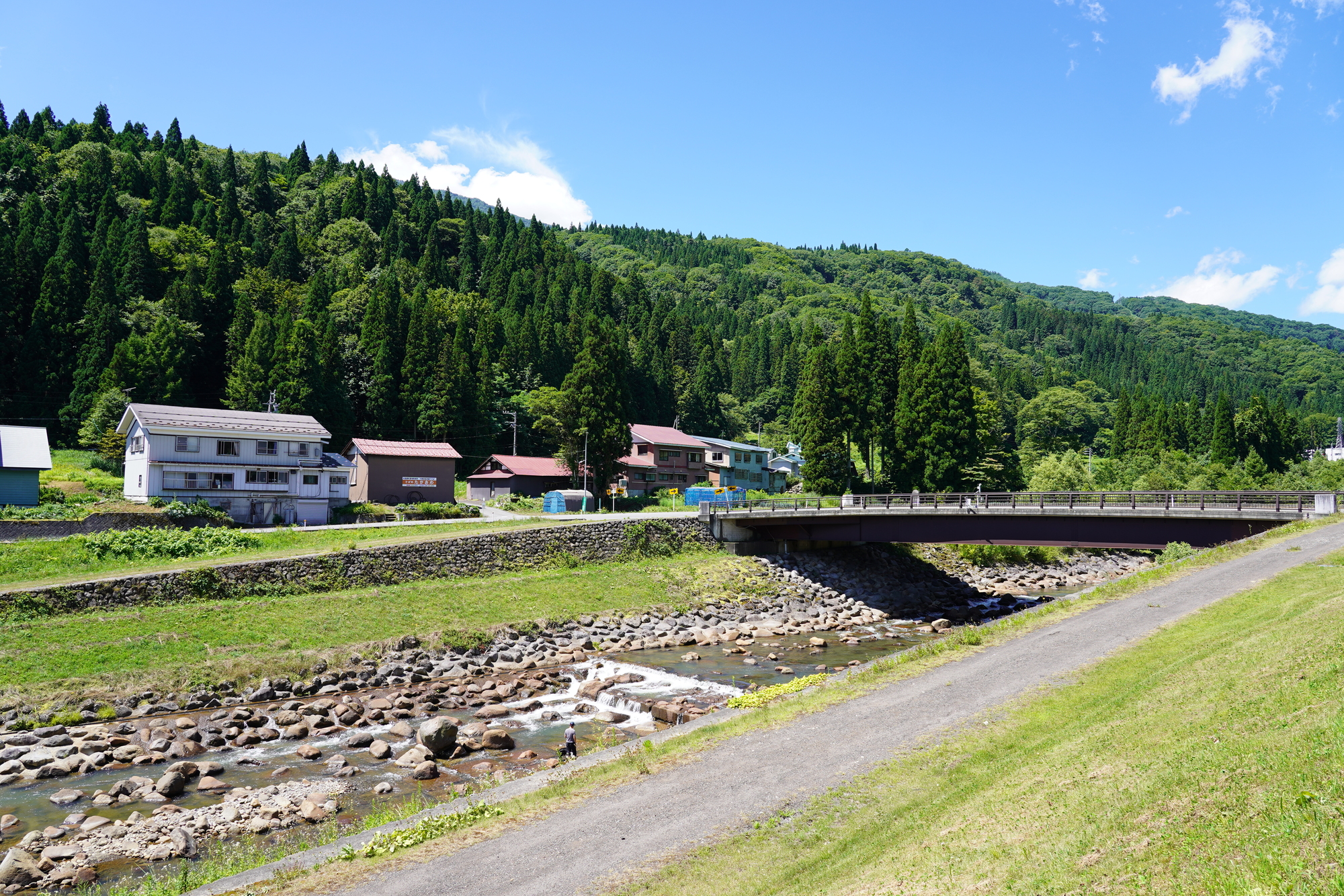 関川(関川水系)ライブカメラ一覧