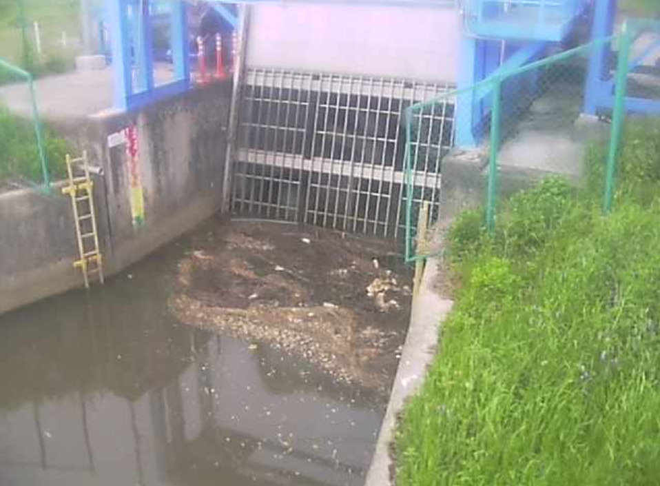 英比川英比川除塵機ライブカメラ(愛知県阿久比町横松)