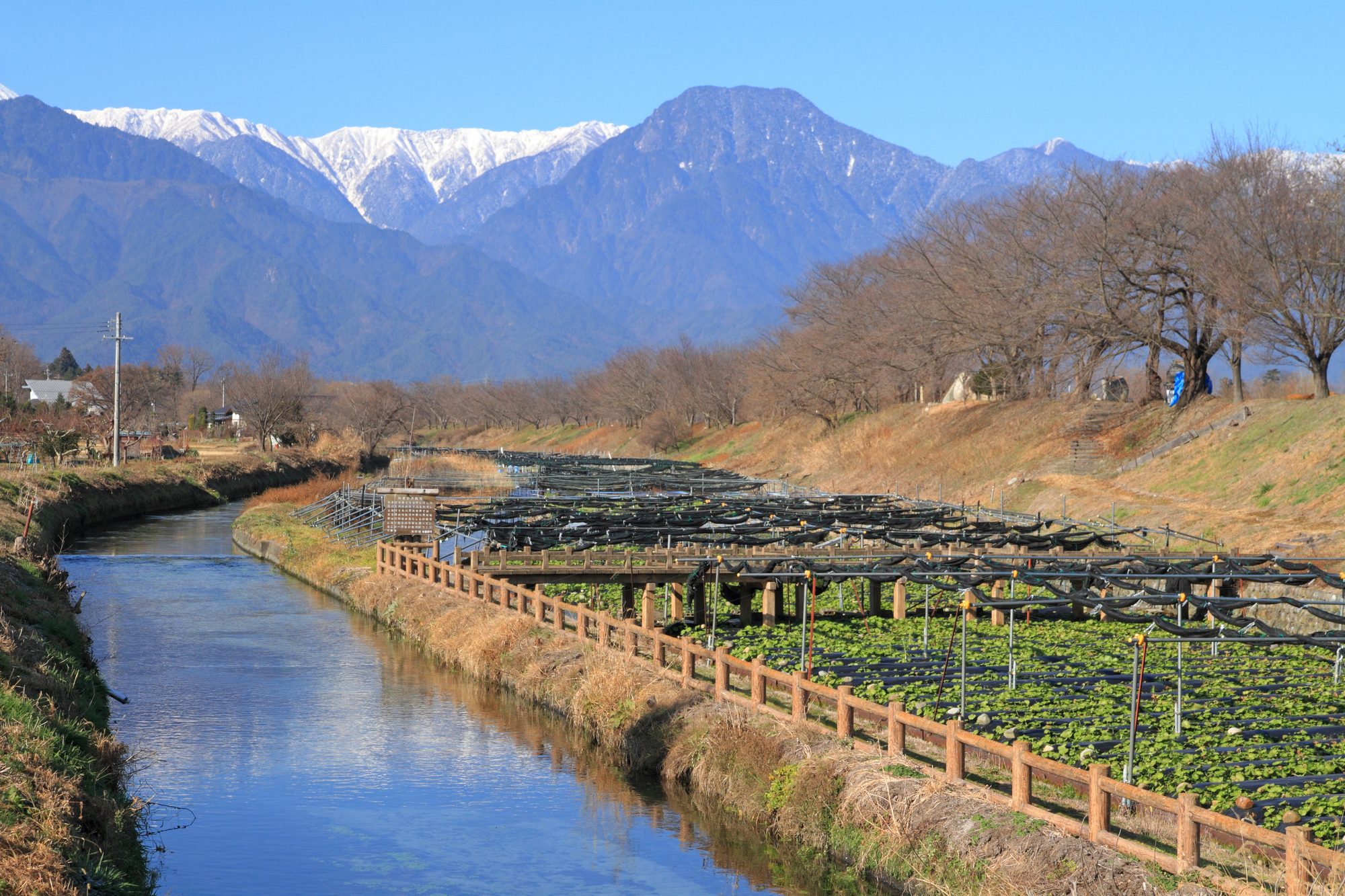 穂高川(信濃川水系)ライブカメラ一覧