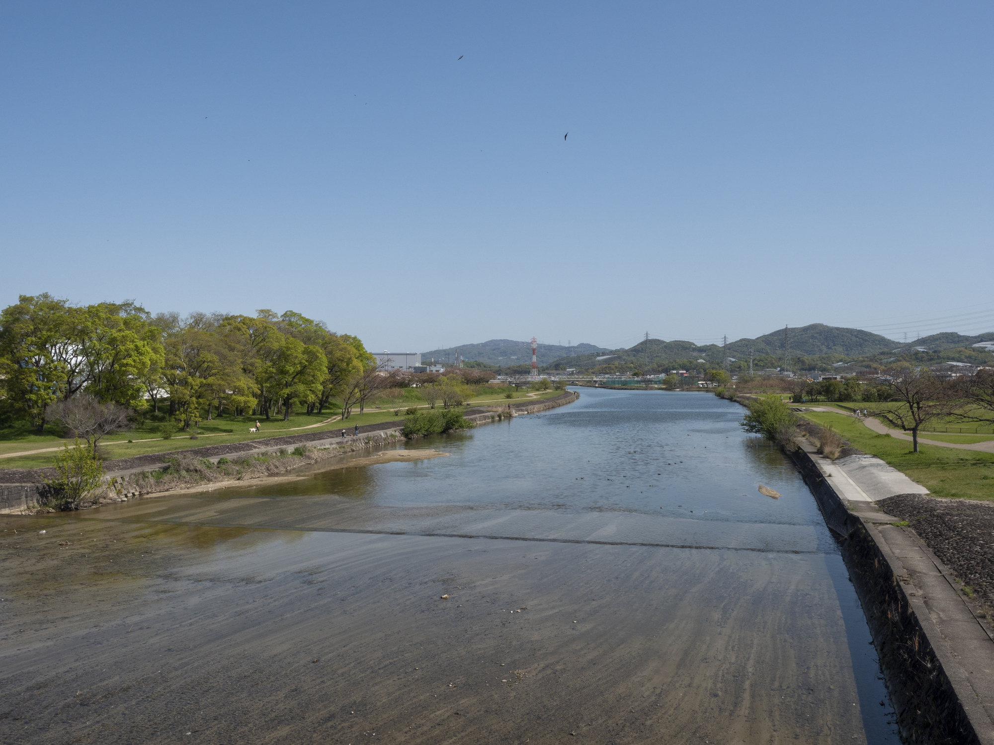 石川(大和川水系)ライブカメラ一覧