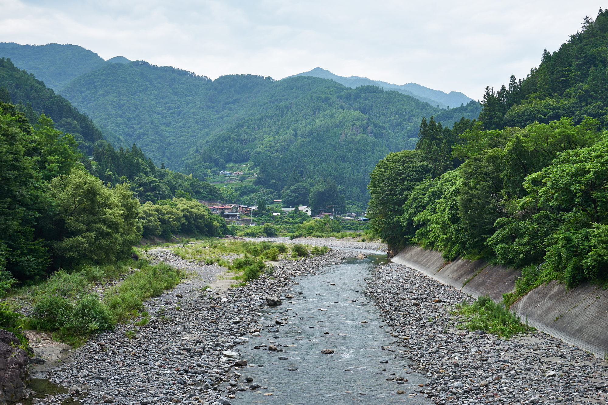 上村川(天竜川水系)ライブカメラ一覧