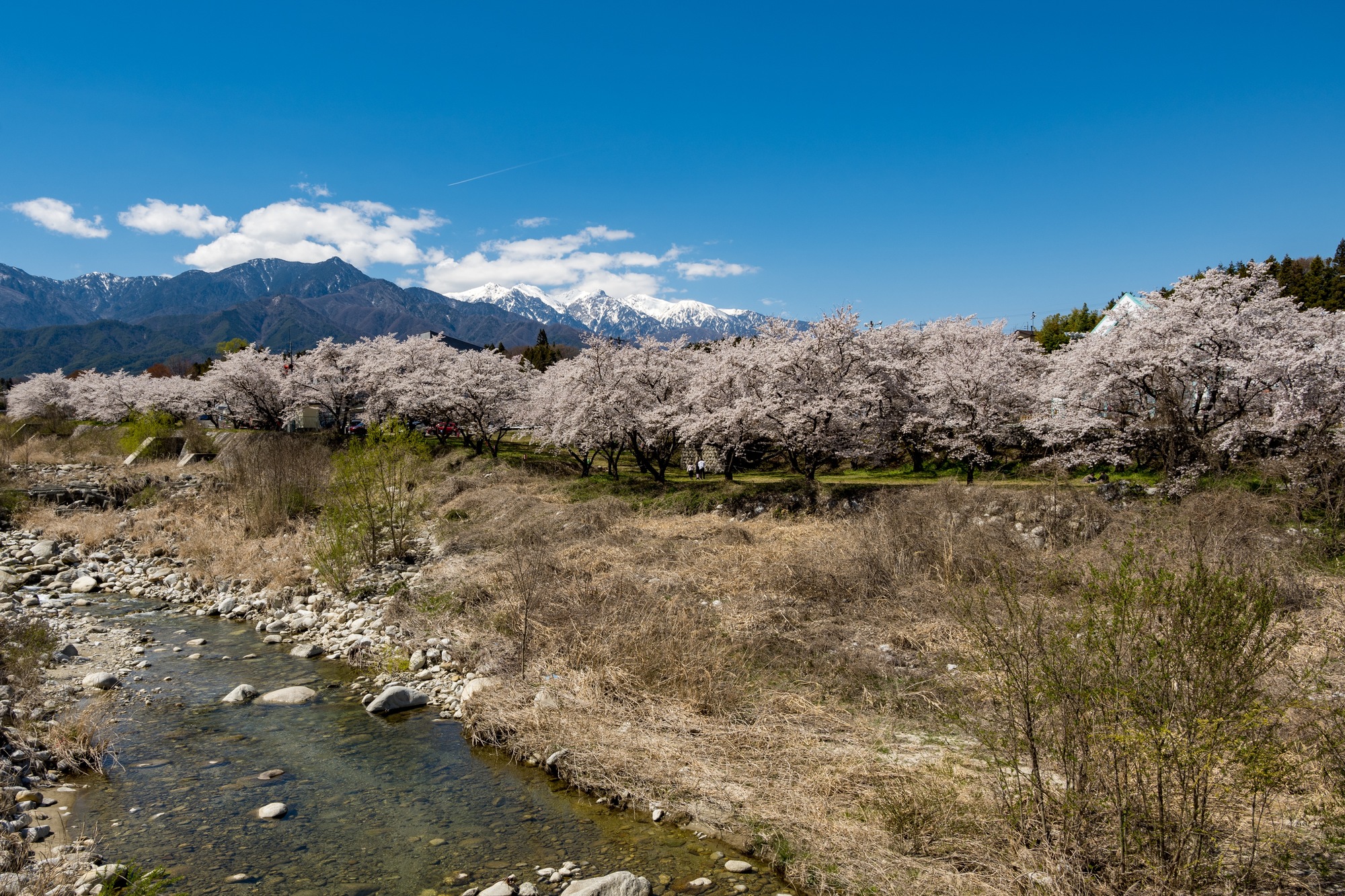 片桐松川(天竜川水系)ライブカメラ一覧