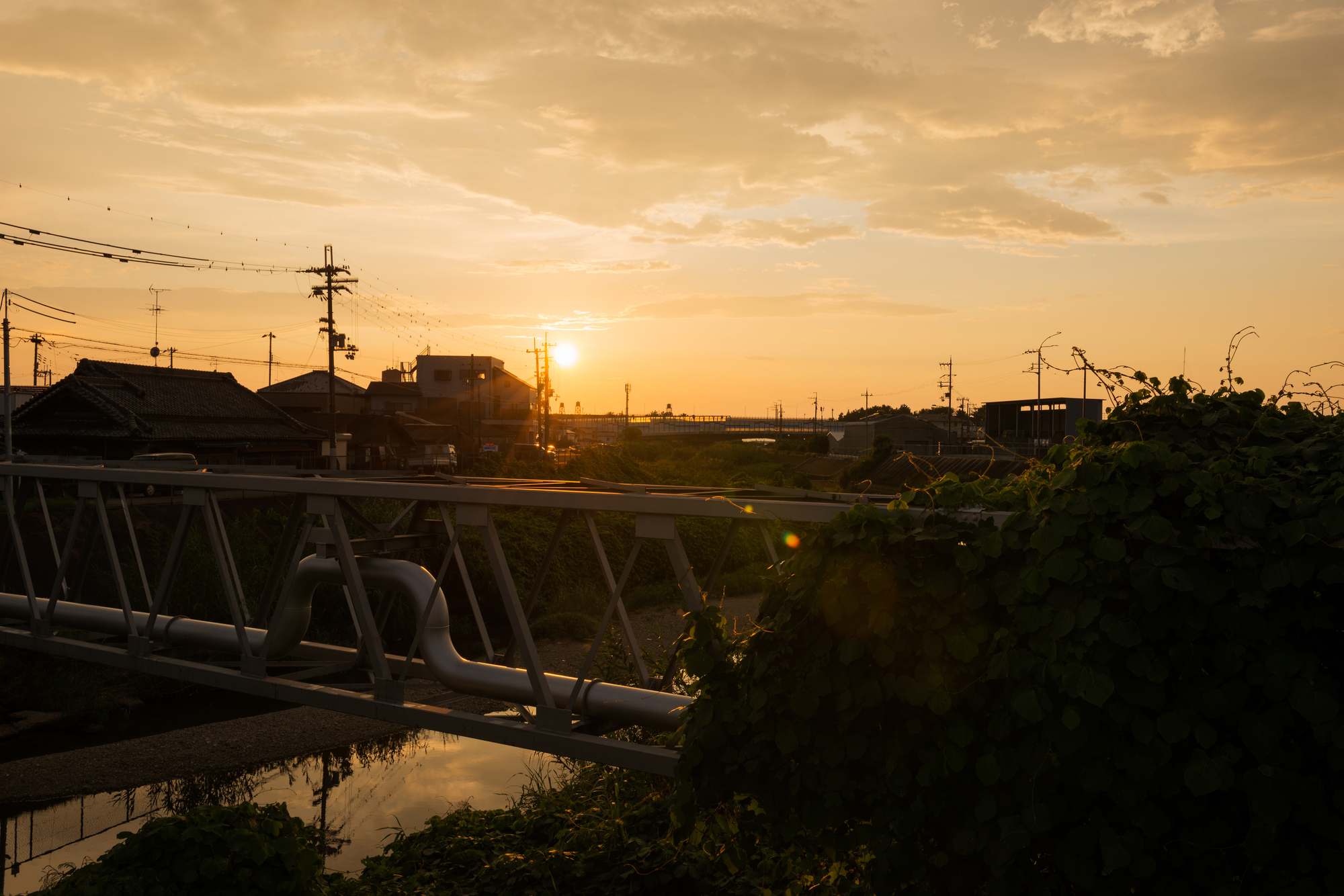近木川(近木川水系)ライブカメラ一覧