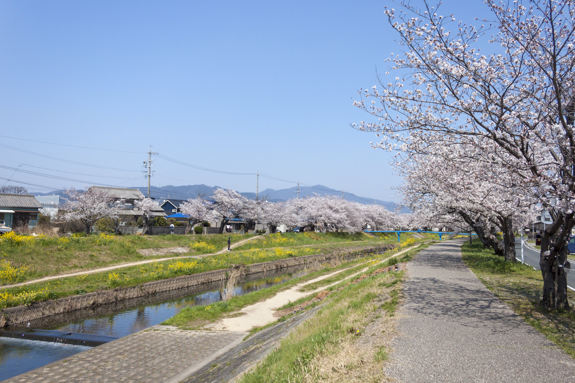 佐奈川(佐奈川水系)ライブカメラ一覧