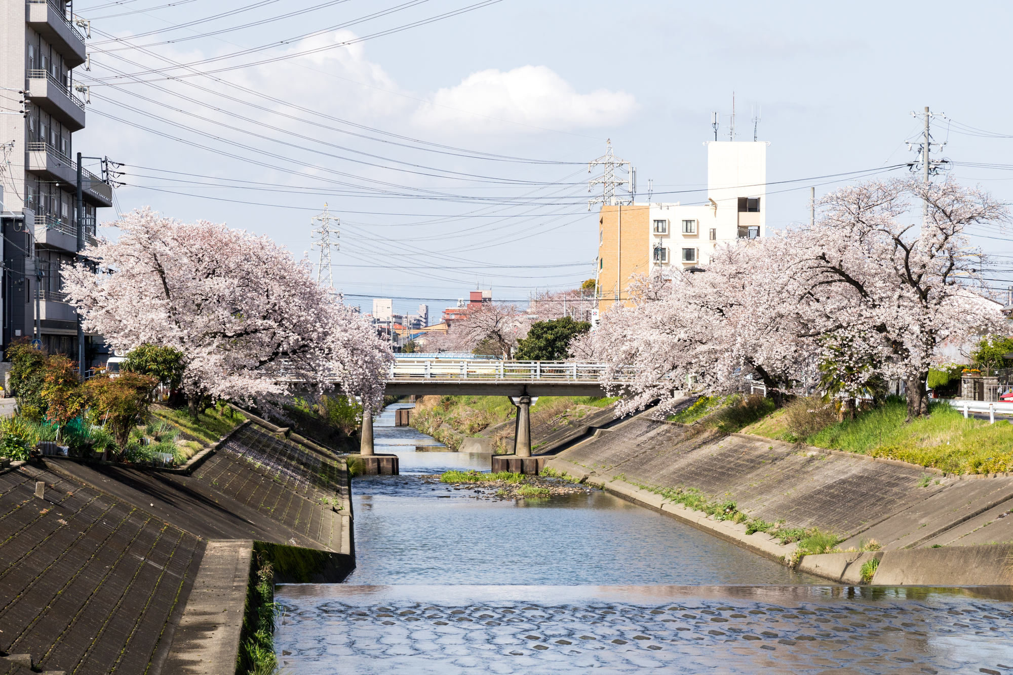 新地蔵川(庄内川水系)ライブカメラ一覧