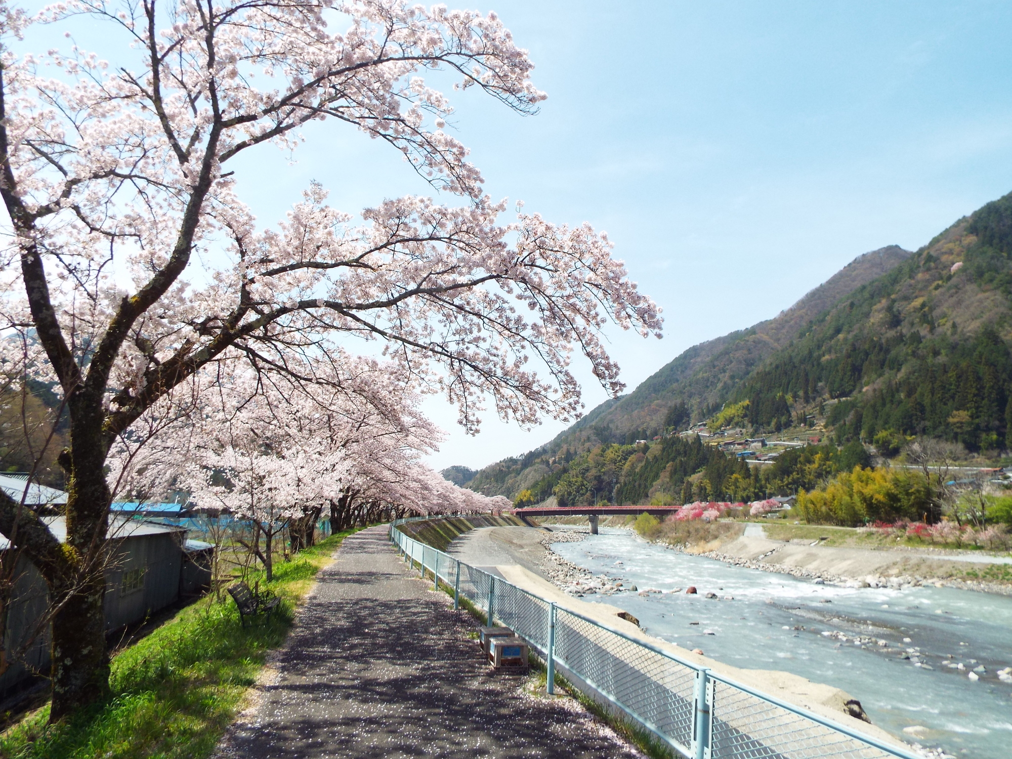 遠山川(天竜川水系)ライブカメラ一覧