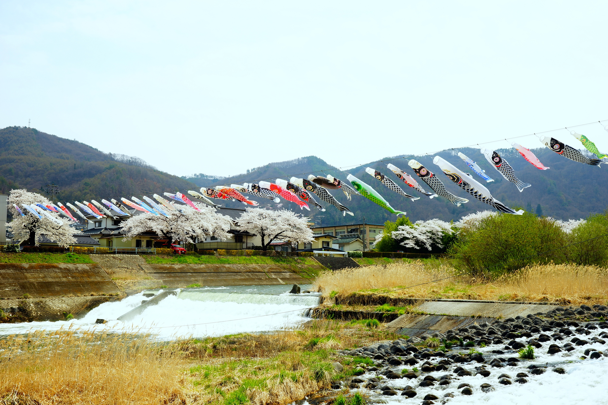 依田川(信濃川水系)ライブカメラ一覧