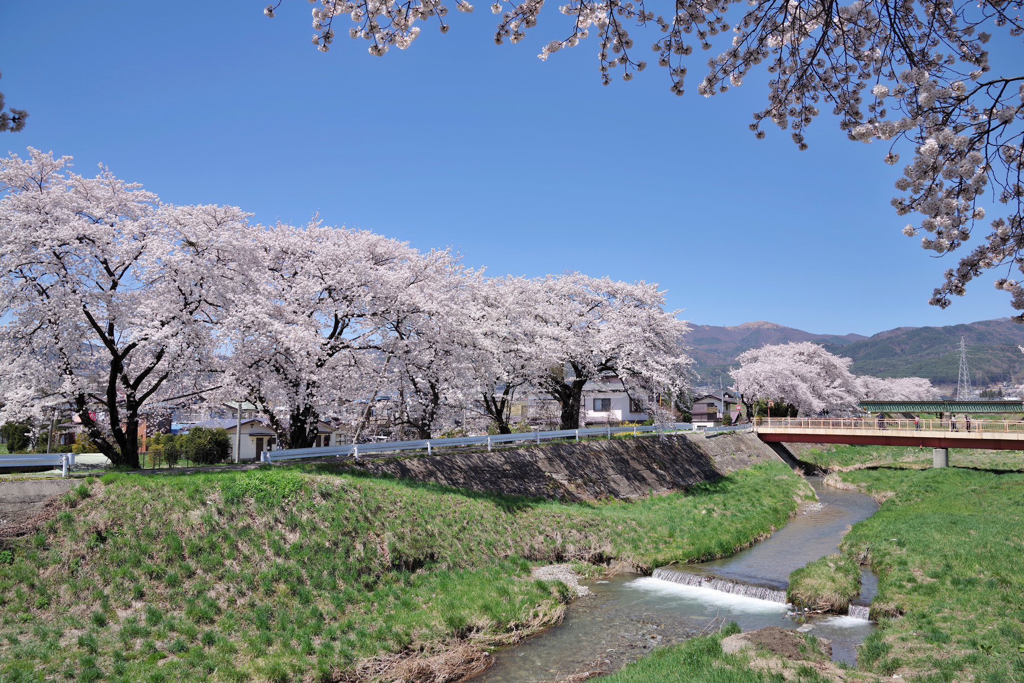 横河川(天竜川水系)ライブカメラ一覧
