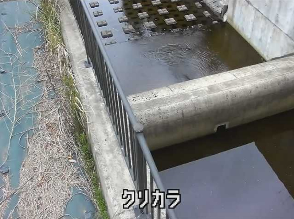 栗柄ダム下流ライブカメラ(兵庫県丹波篠山市栗柄)