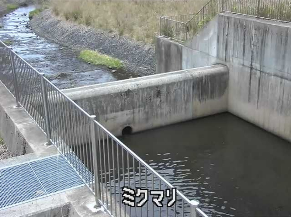 みくまりダム下流ライブカメラ(兵庫県丹波篠山市三熊)