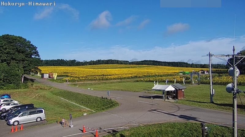 北竜町ひまわりの里ライブカメラ(北海道北竜町板谷)