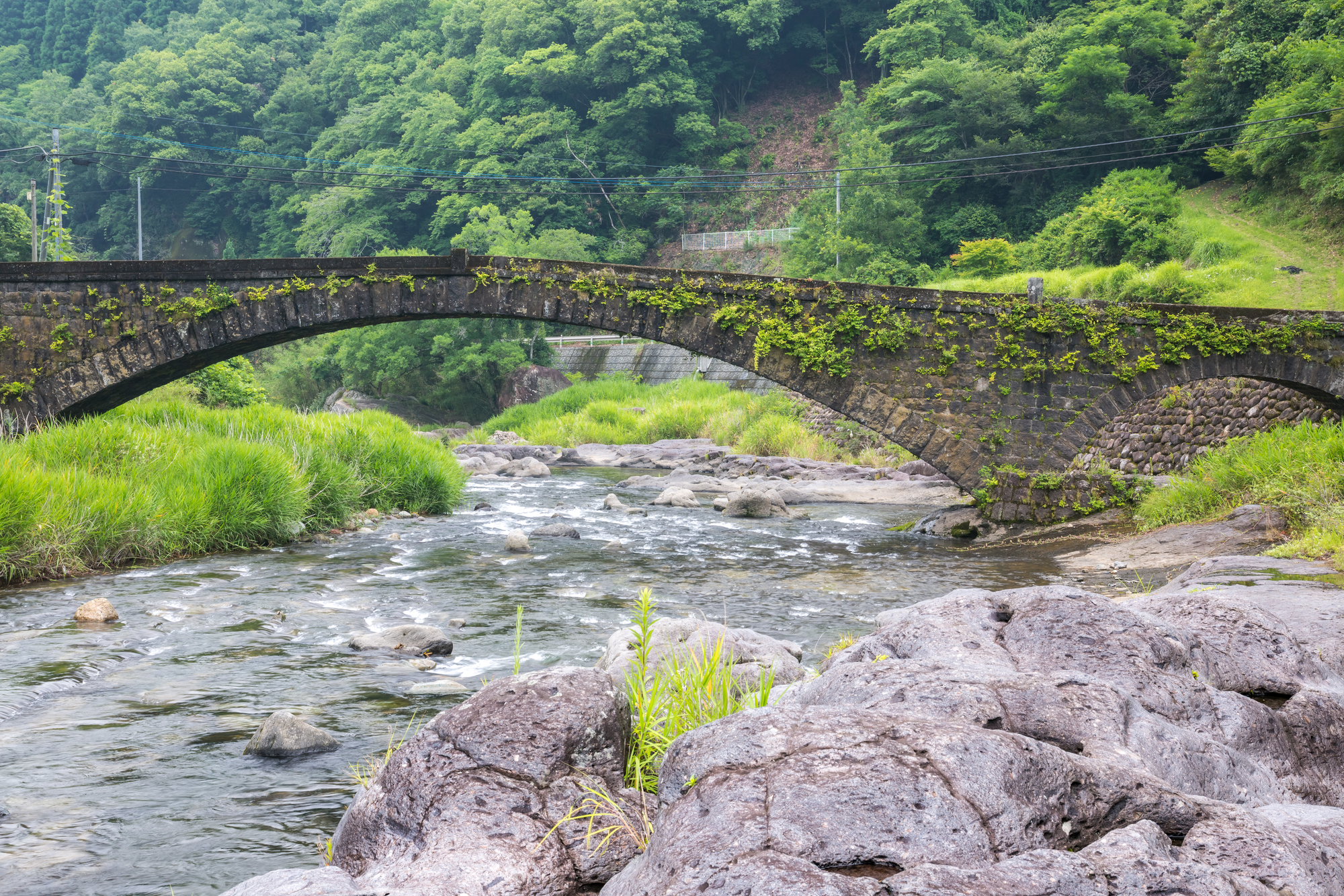 中津無礼川(番匠川水系)ライブカメラ一覧