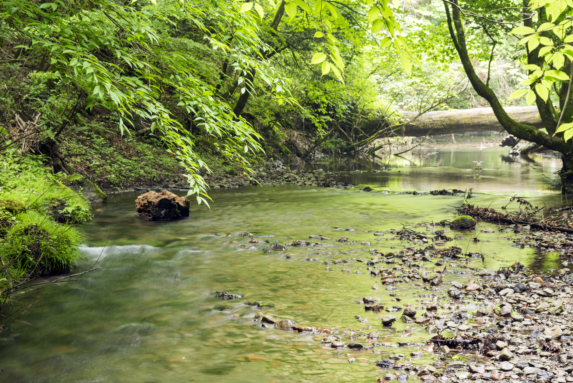 阿蘇野川(大分川水系)ライブカメラ一覧
