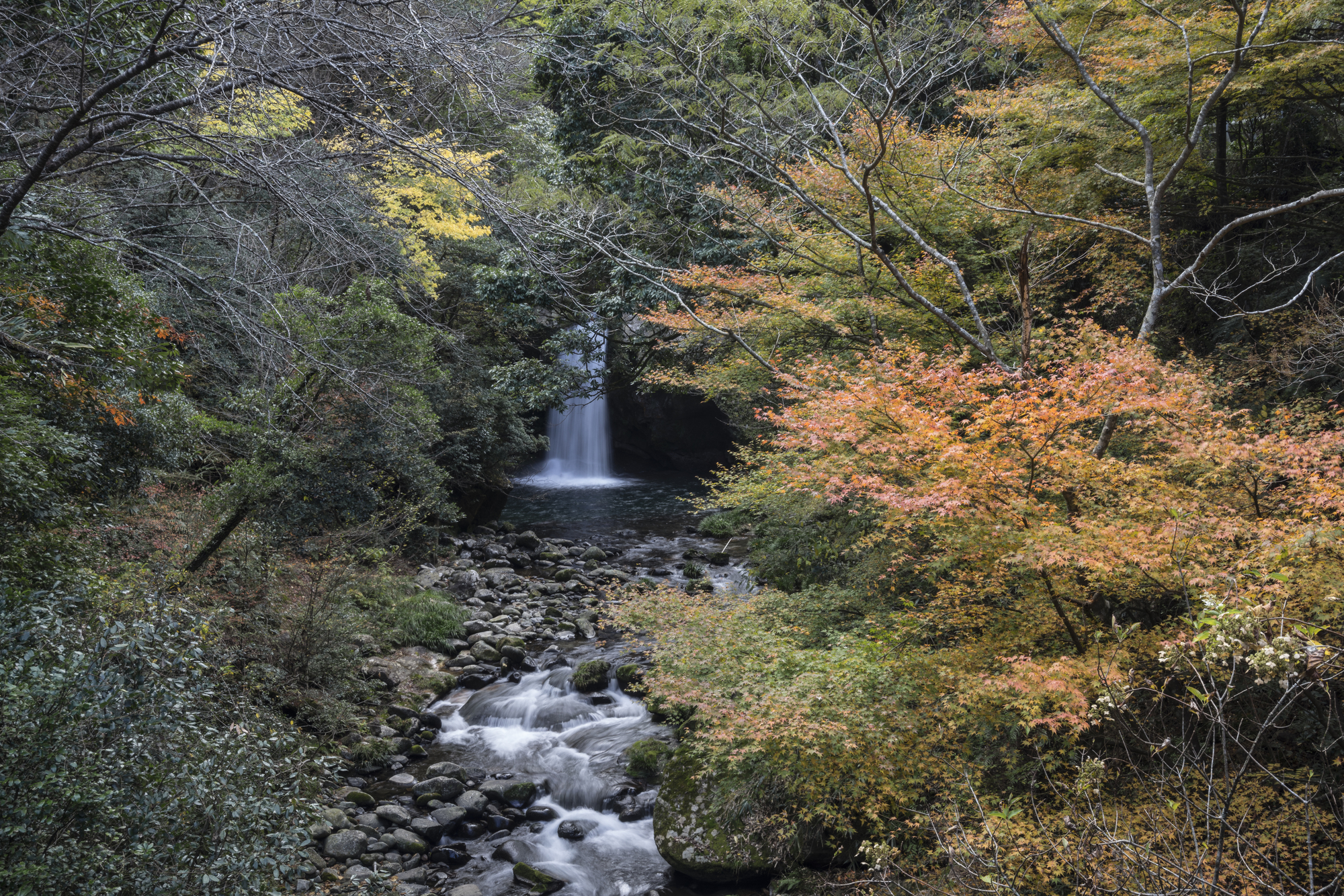 岩野川(菊池川水系)ライブカメラ一覧