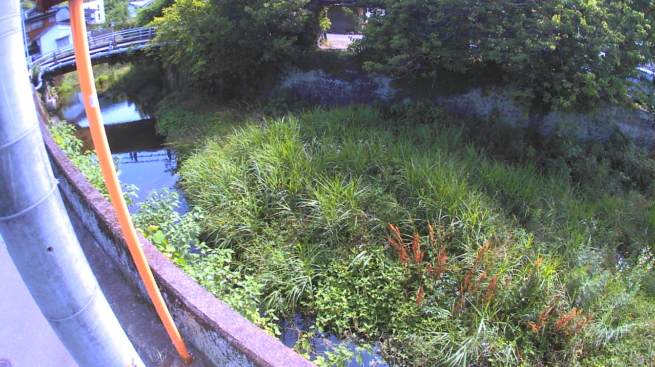 海添川坂本橋ライブカメラ(大分県臼杵市海添)