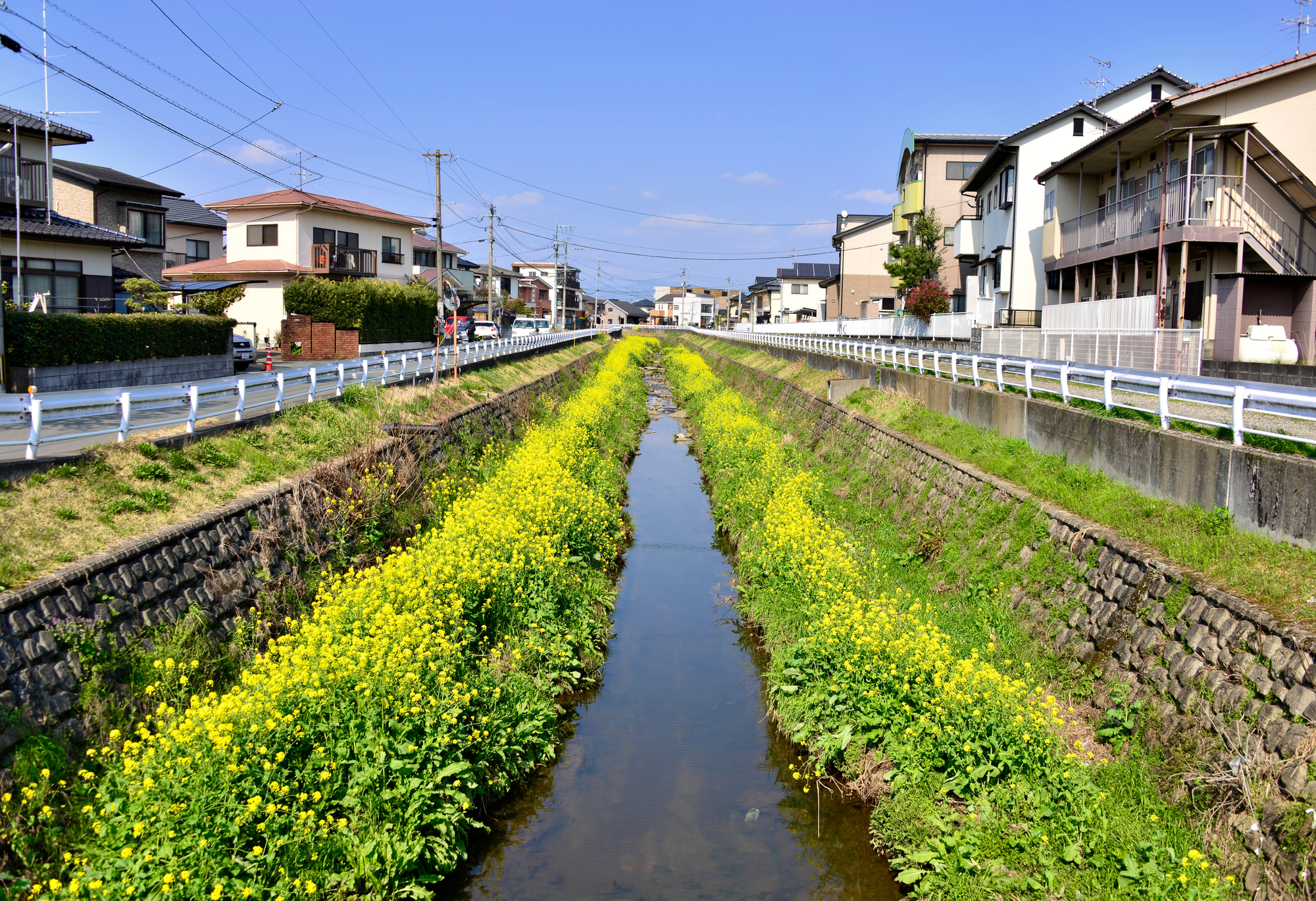 健軍川(緑川水系)ライブカメラ一覧