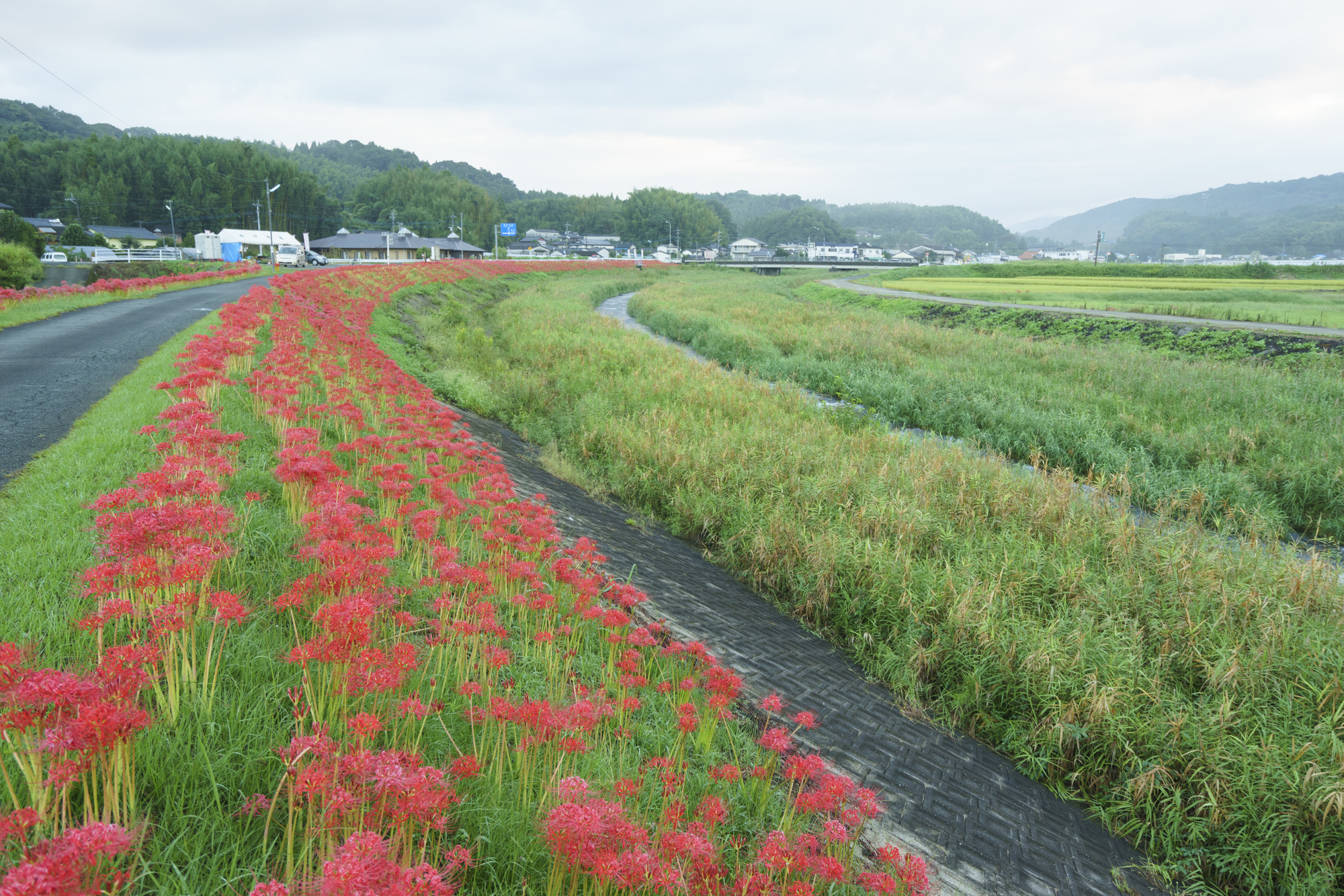 木山川(緑川水系)ライブカメラ一覧